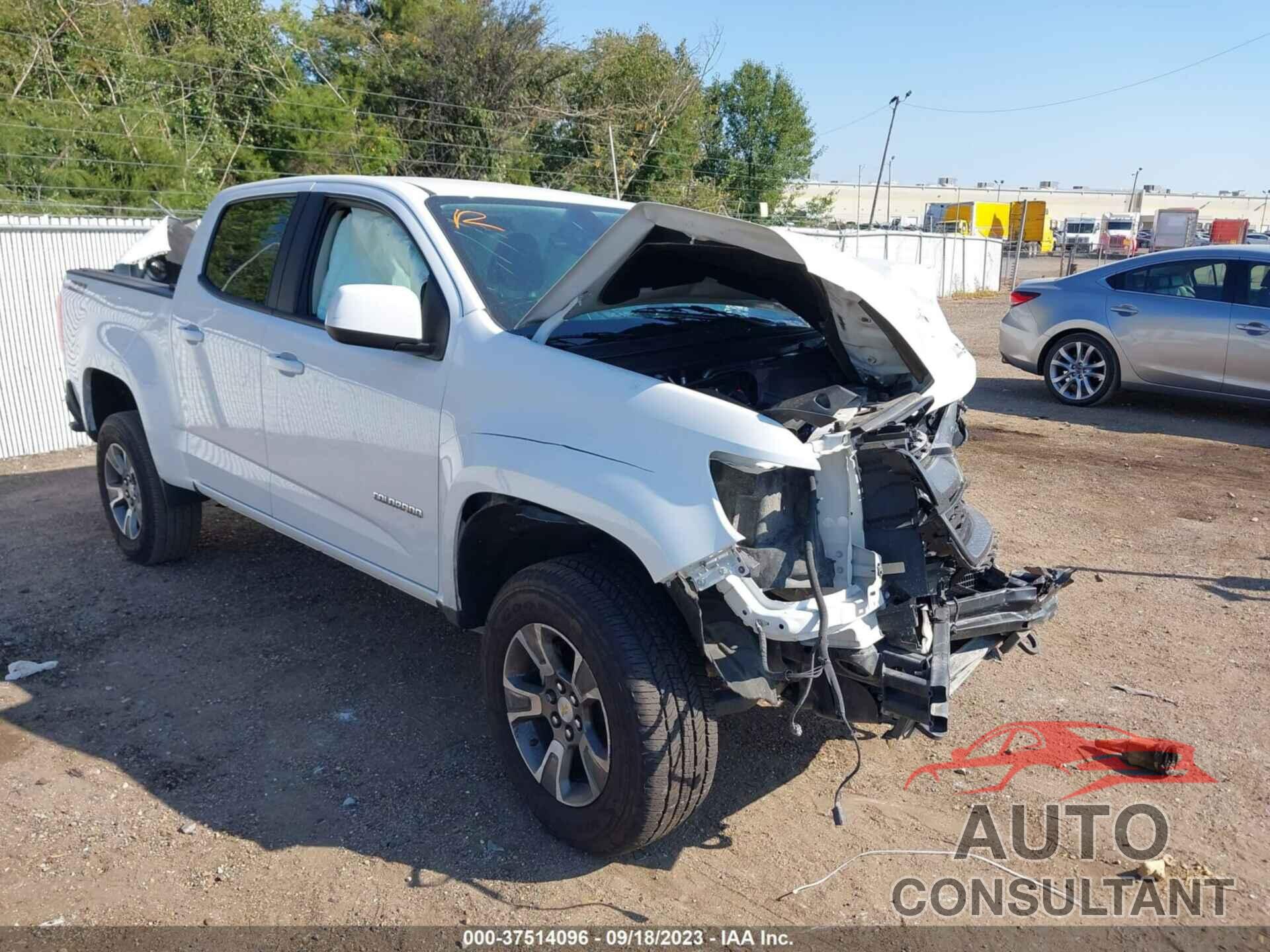 CHEVROLET COLORADO 2019 - 1GCGTDEN5K1192319