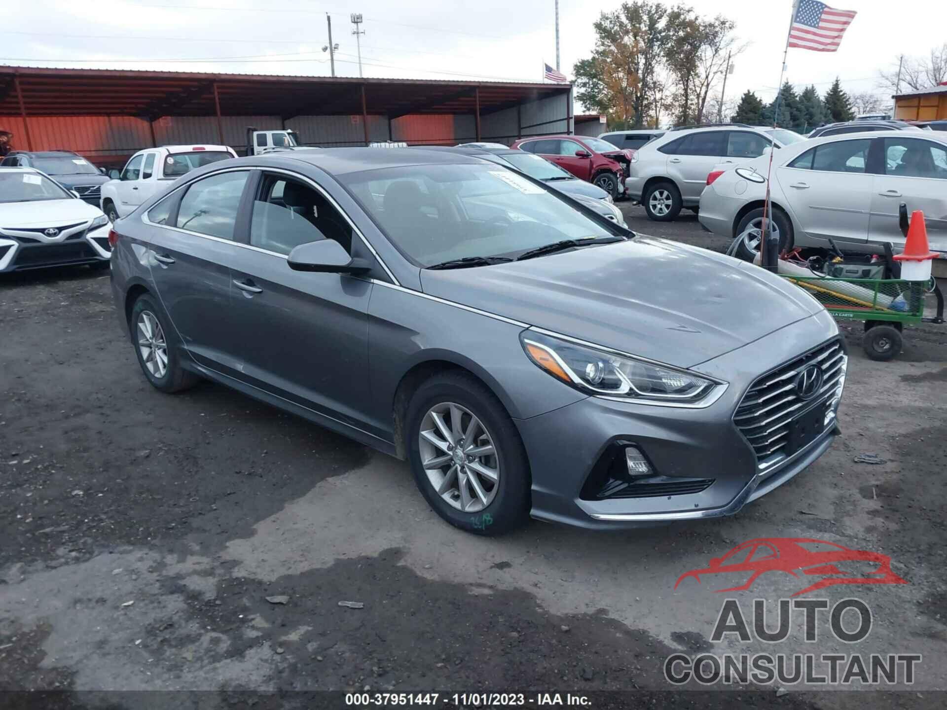 HYUNDAI SONATA 2019 - 5NPE24AF4KH733071
