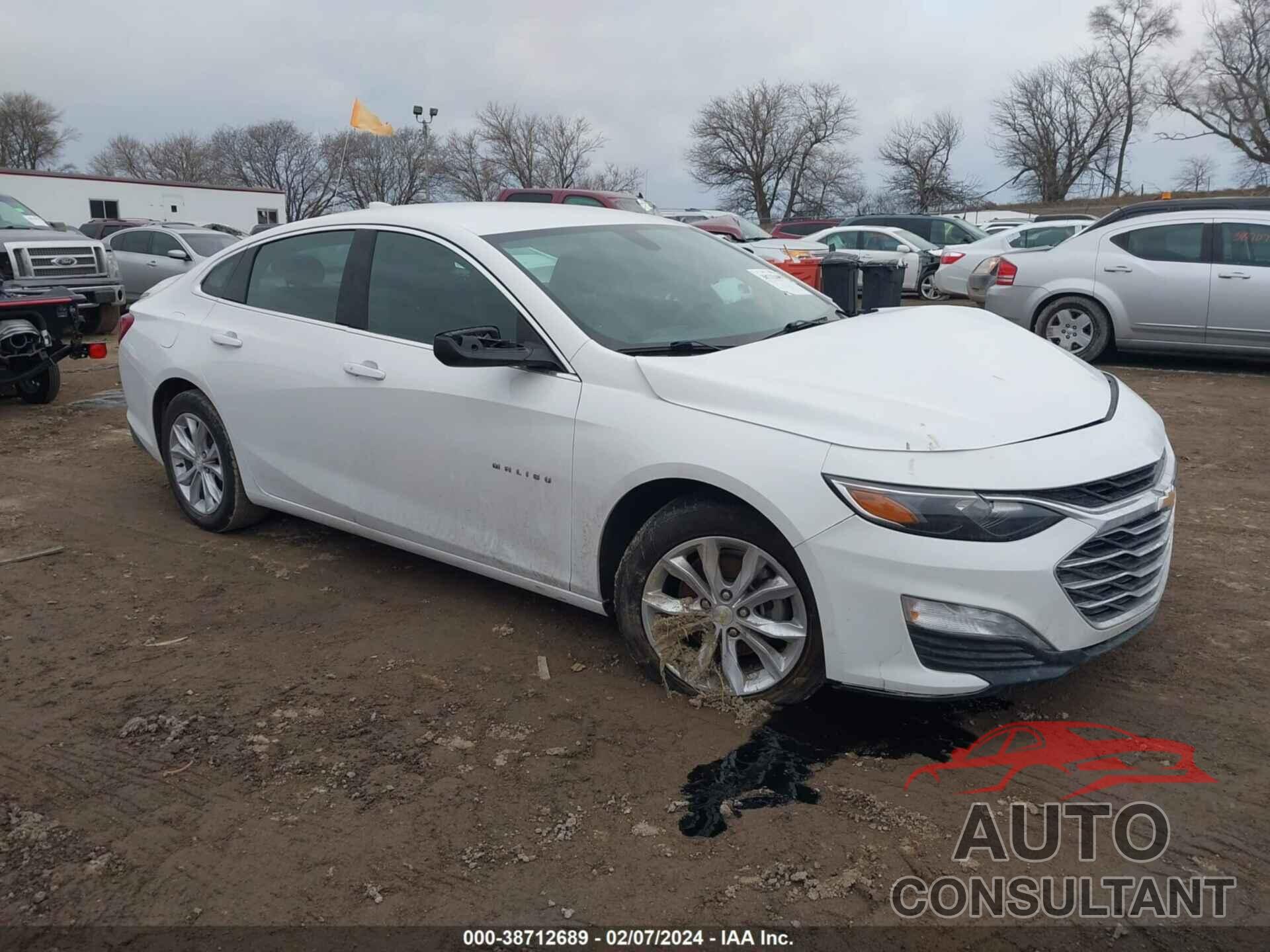 CHEVROLET MALIBU 2020 - 1G1ZD5ST0LF098702
