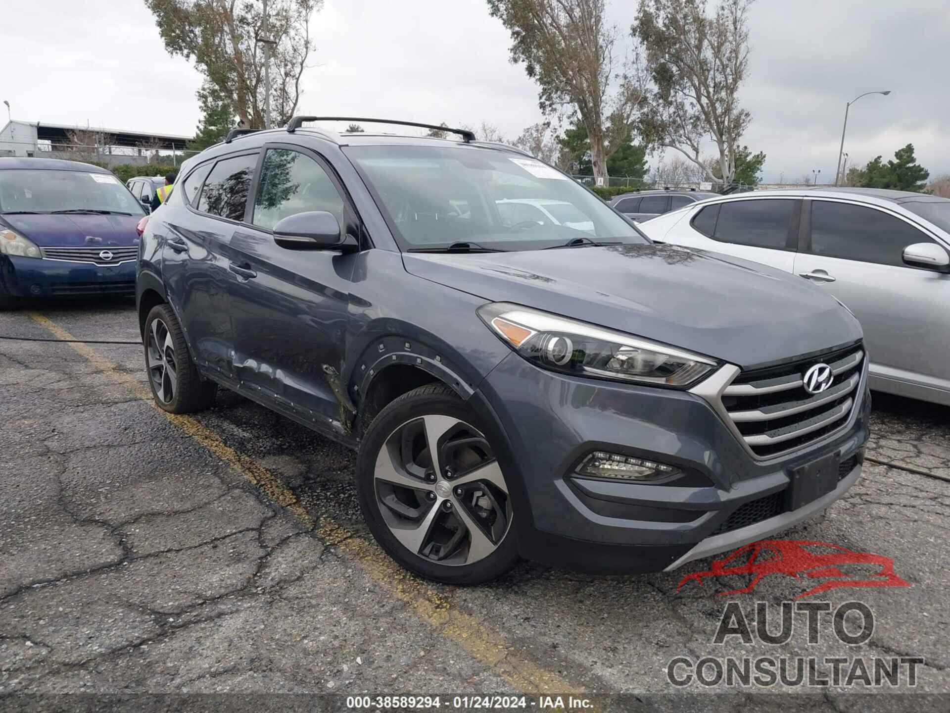 HYUNDAI TUCSON 2017 - KM8J33A25HU325787