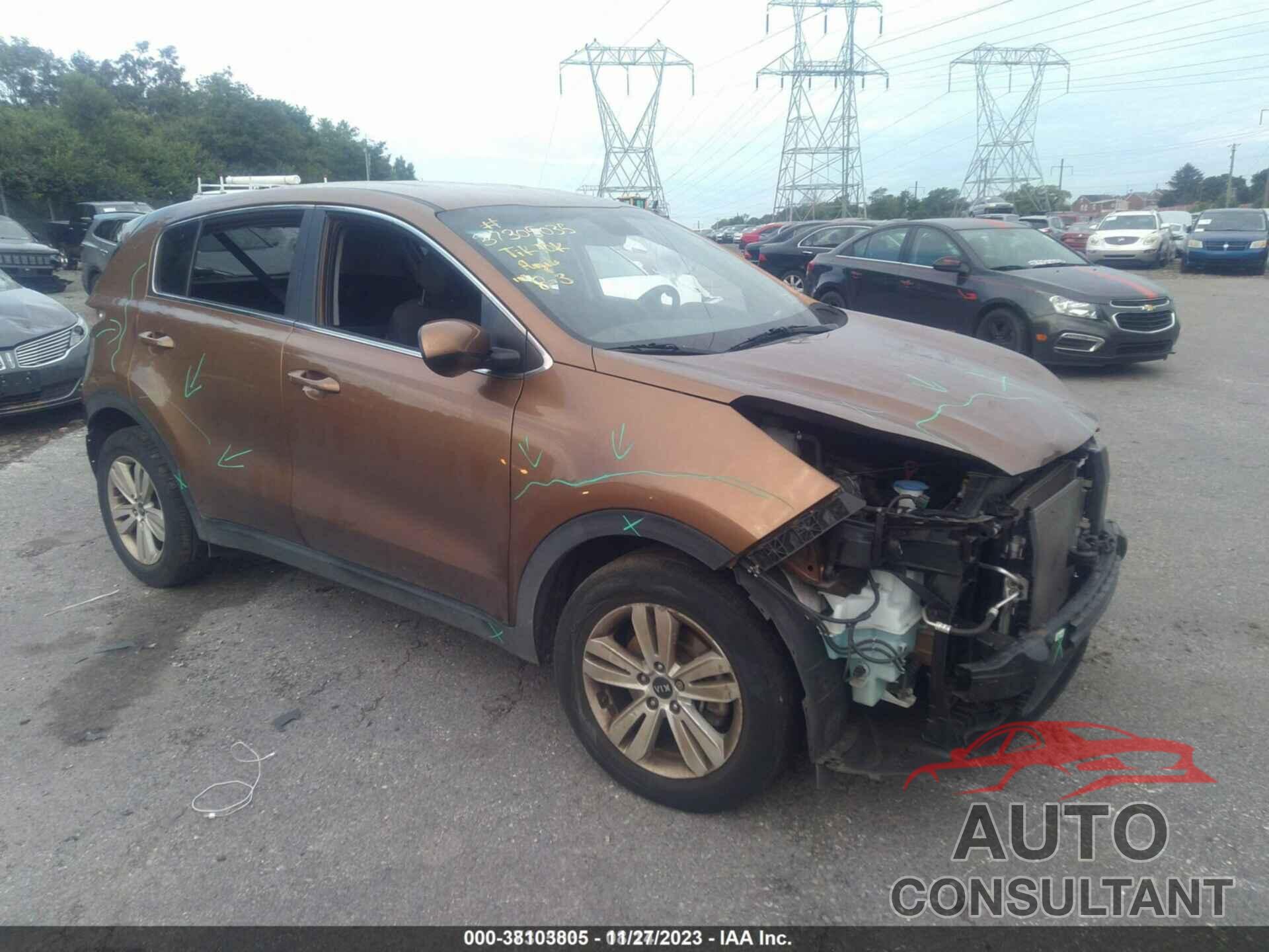 KIA SPORTAGE 2019 - KNDPM3AC3K7624575