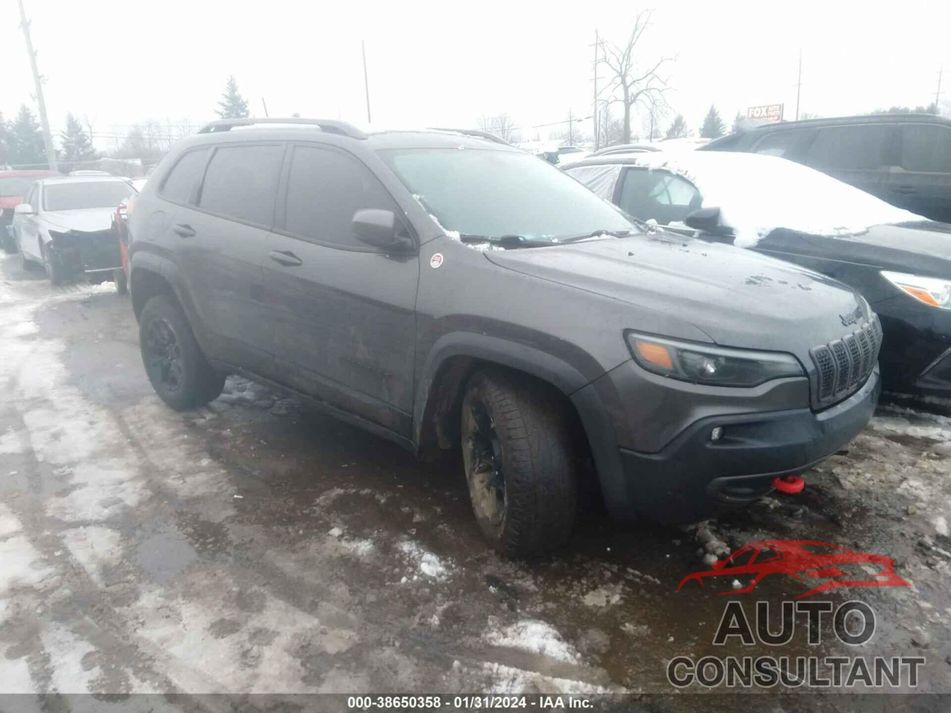 JEEP CHEROKEE 2019 - 1C4PJMBN8KD175197