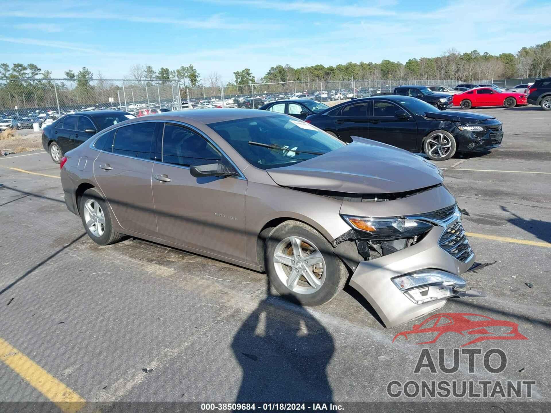 CHEVROLET MALIBU 2022 - 1G1ZB5ST8NF213278