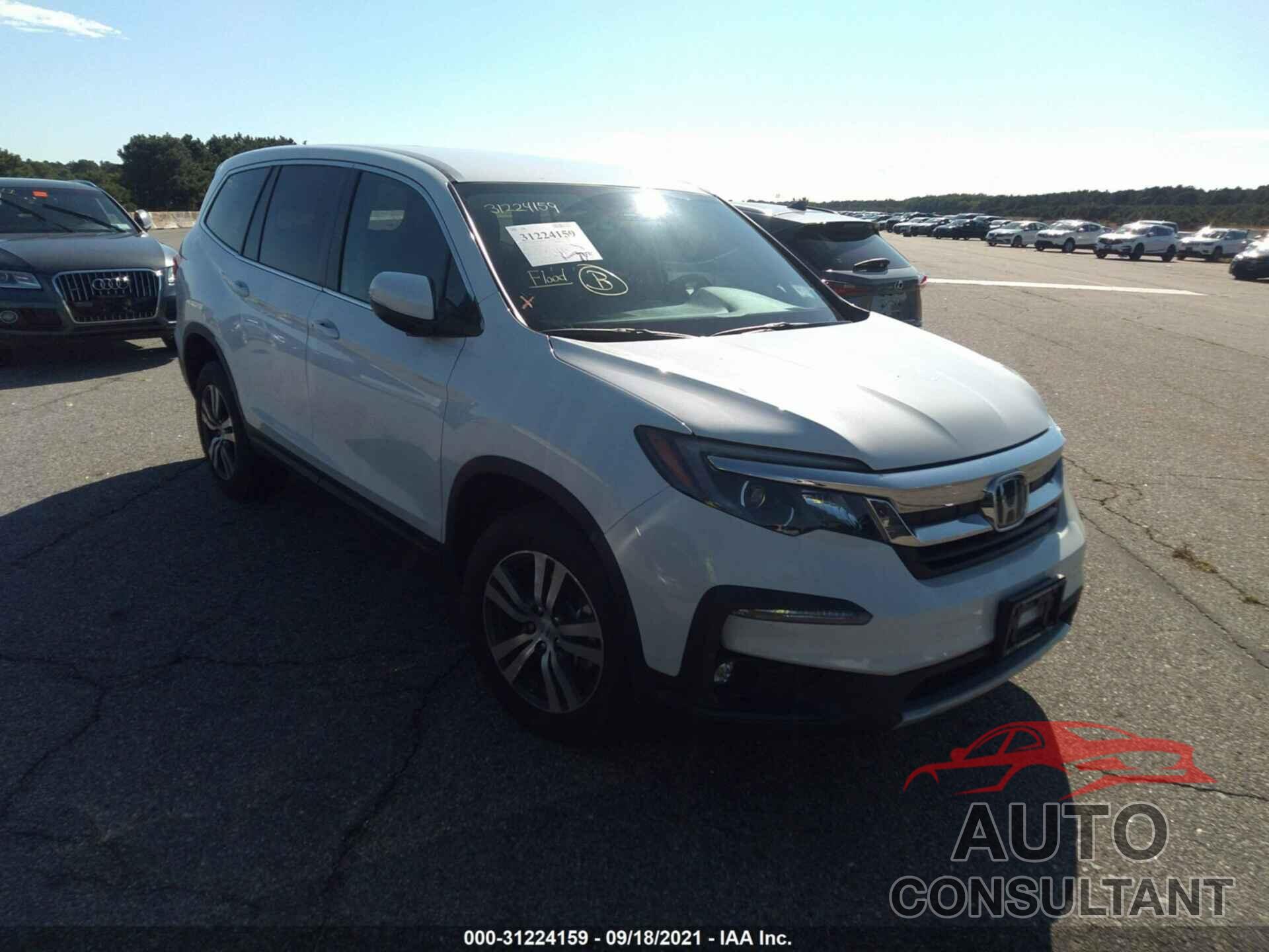 HONDA PILOT 2021 - 5FNYF6H38MB030311
