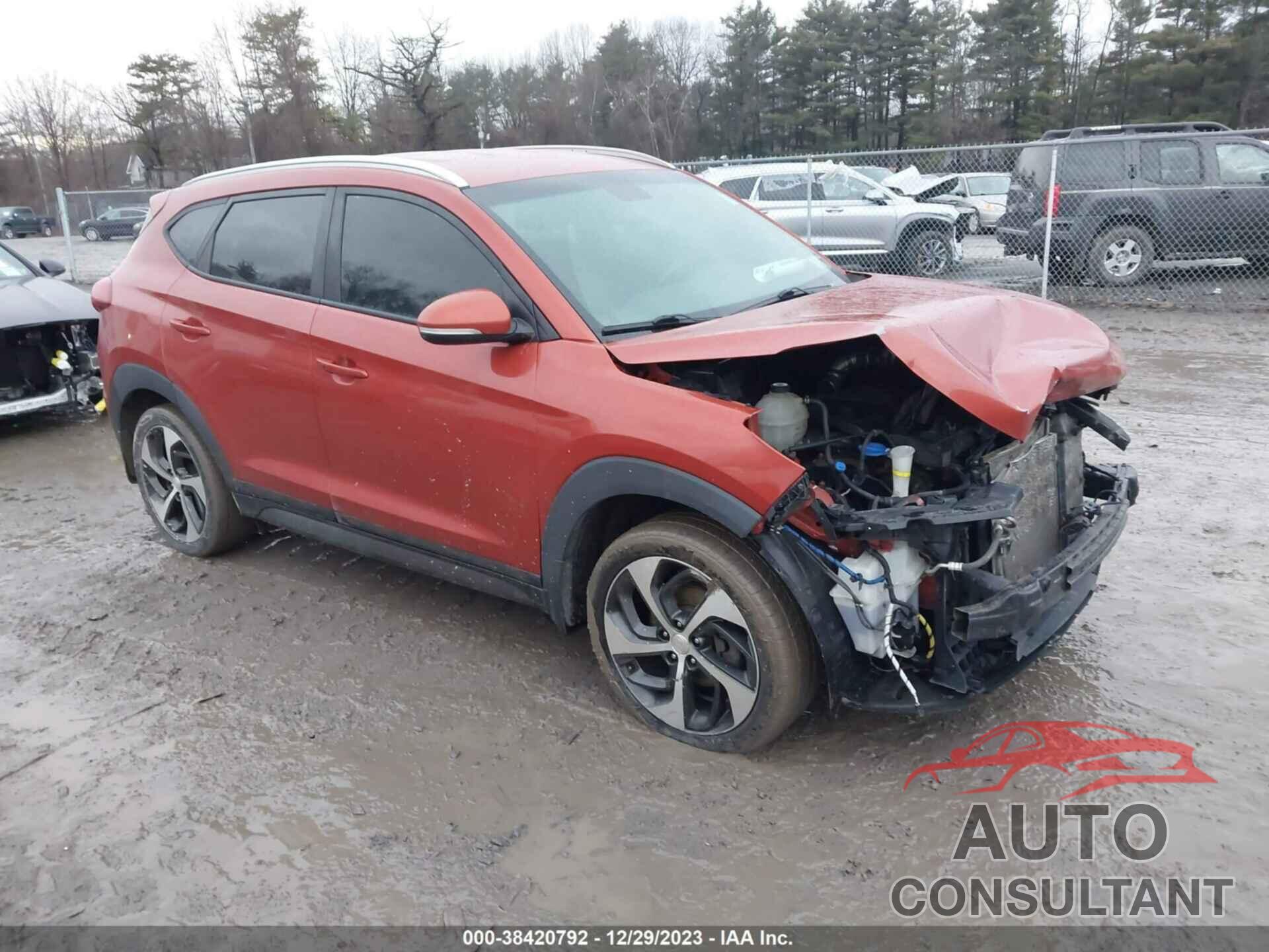 HYUNDAI TUCSON 2016 - KM8J3CA24GU222181