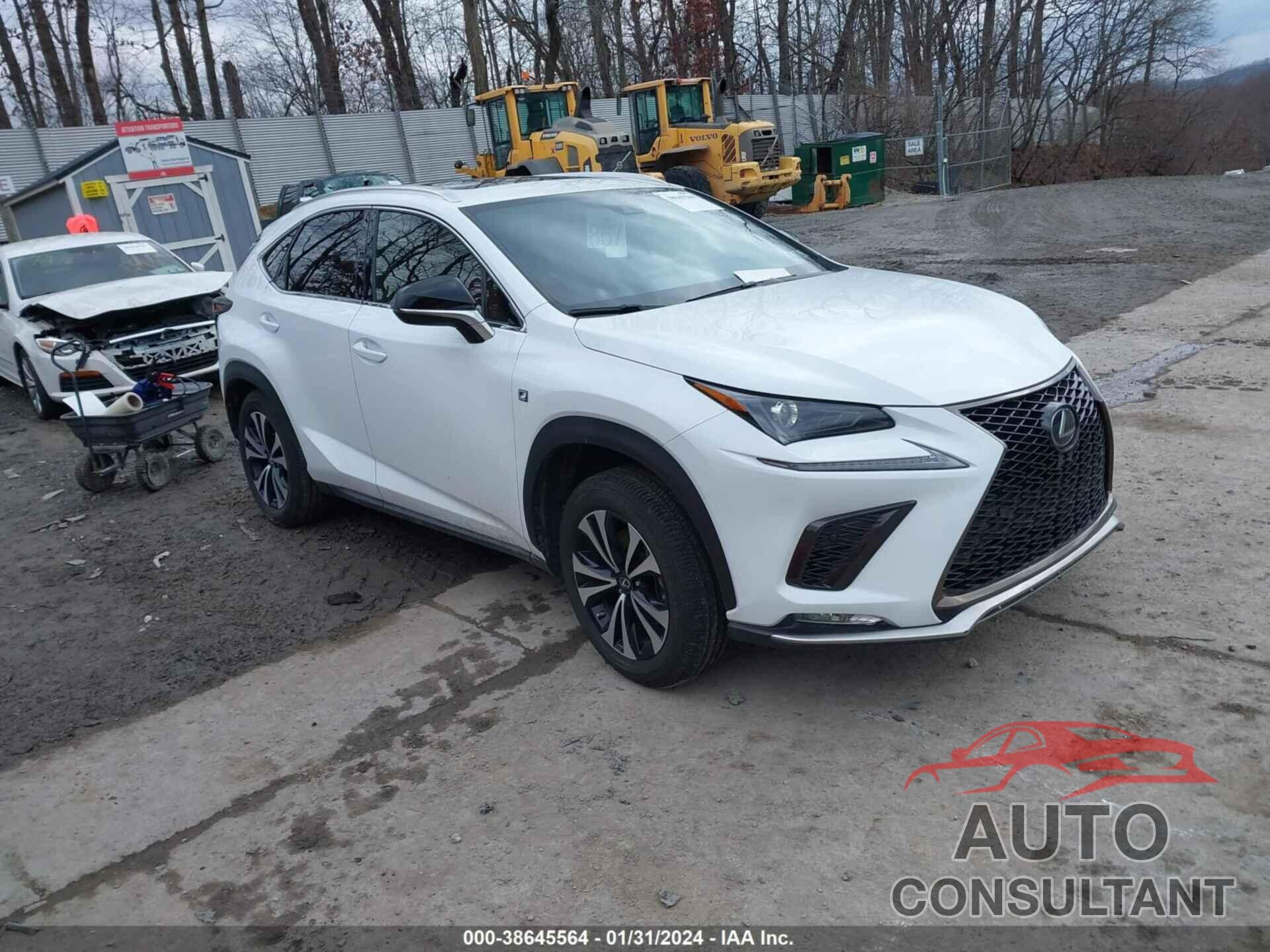 LEXUS NX 300 2020 - JTJSARDZ3L5004048