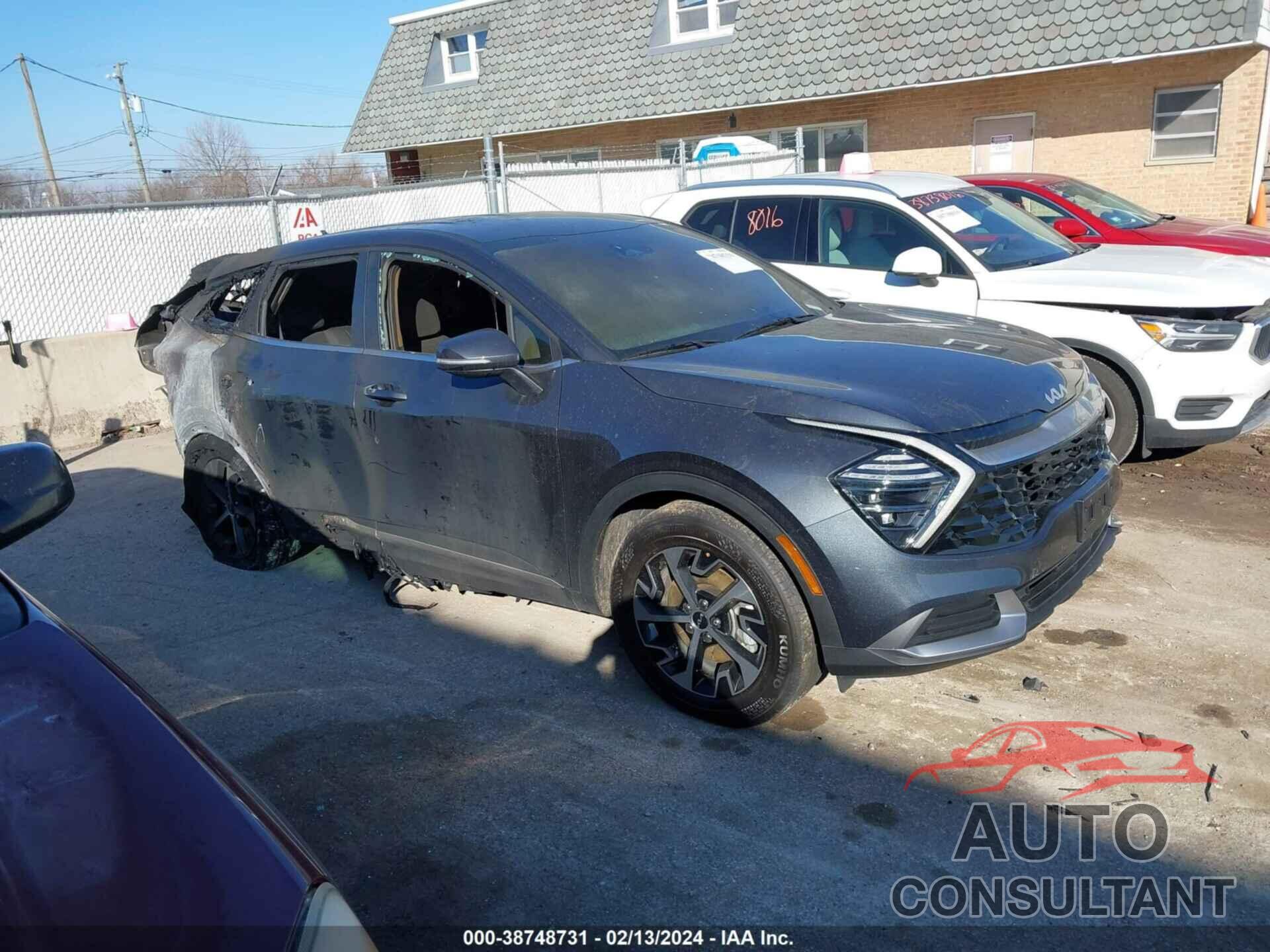 KIA SPORTAGE 2024 - 5XYK33DF9RG164788