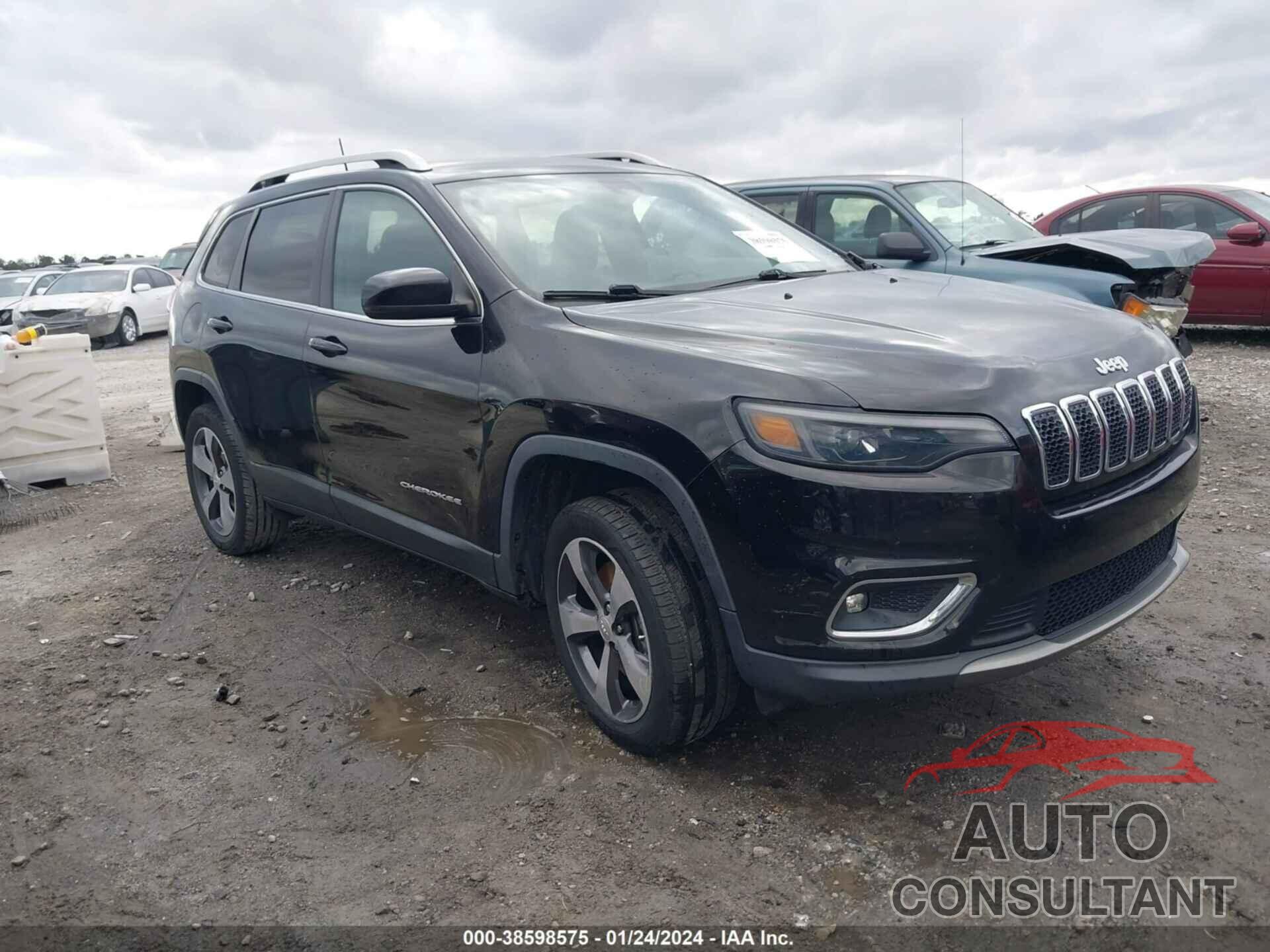 JEEP CHEROKEE 2019 - 1C4PJLDB5KD428778