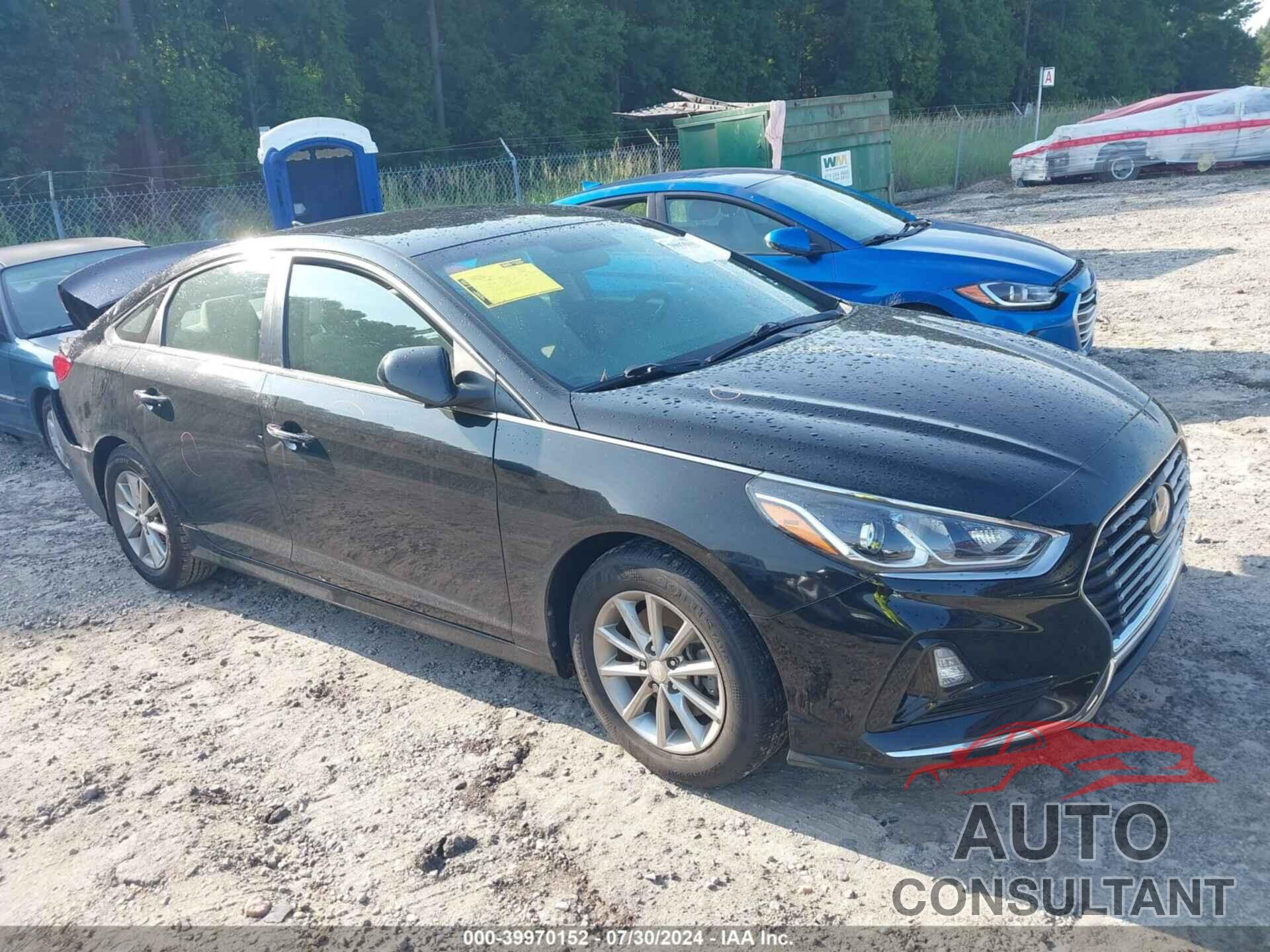 HYUNDAI SONATA 2019 - 5NPE24AF4KH764904