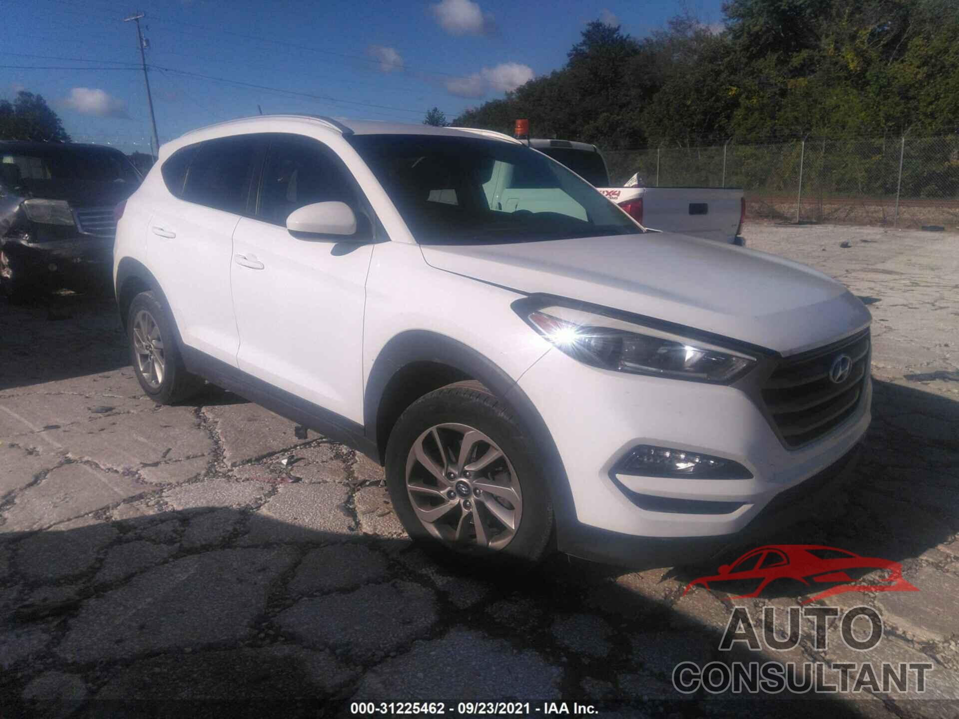 HYUNDAI TUCSON 2016 - KM8J33A43GU101286
