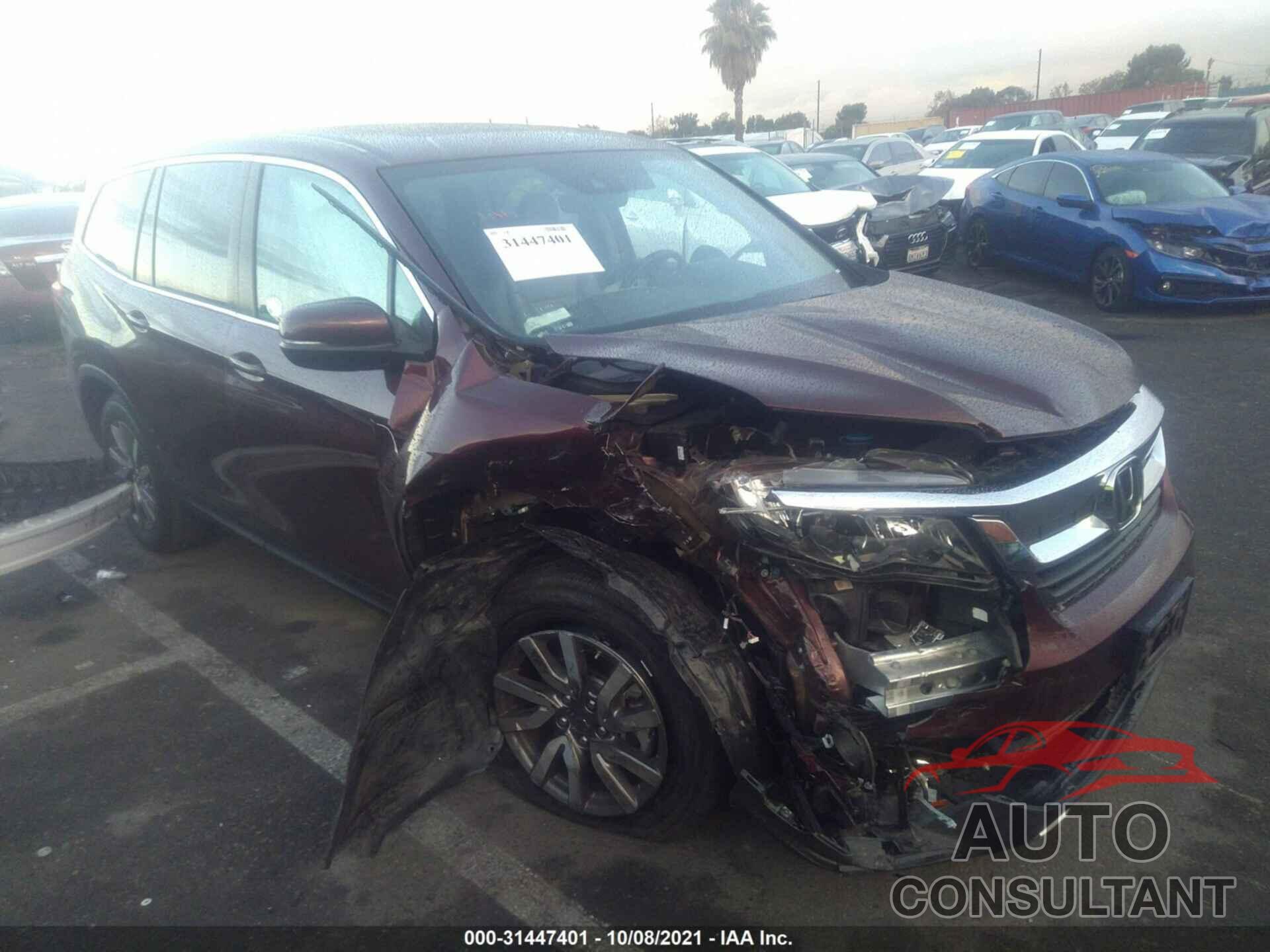 HONDA PILOT 2019 - 5FNYF5H59KB040662