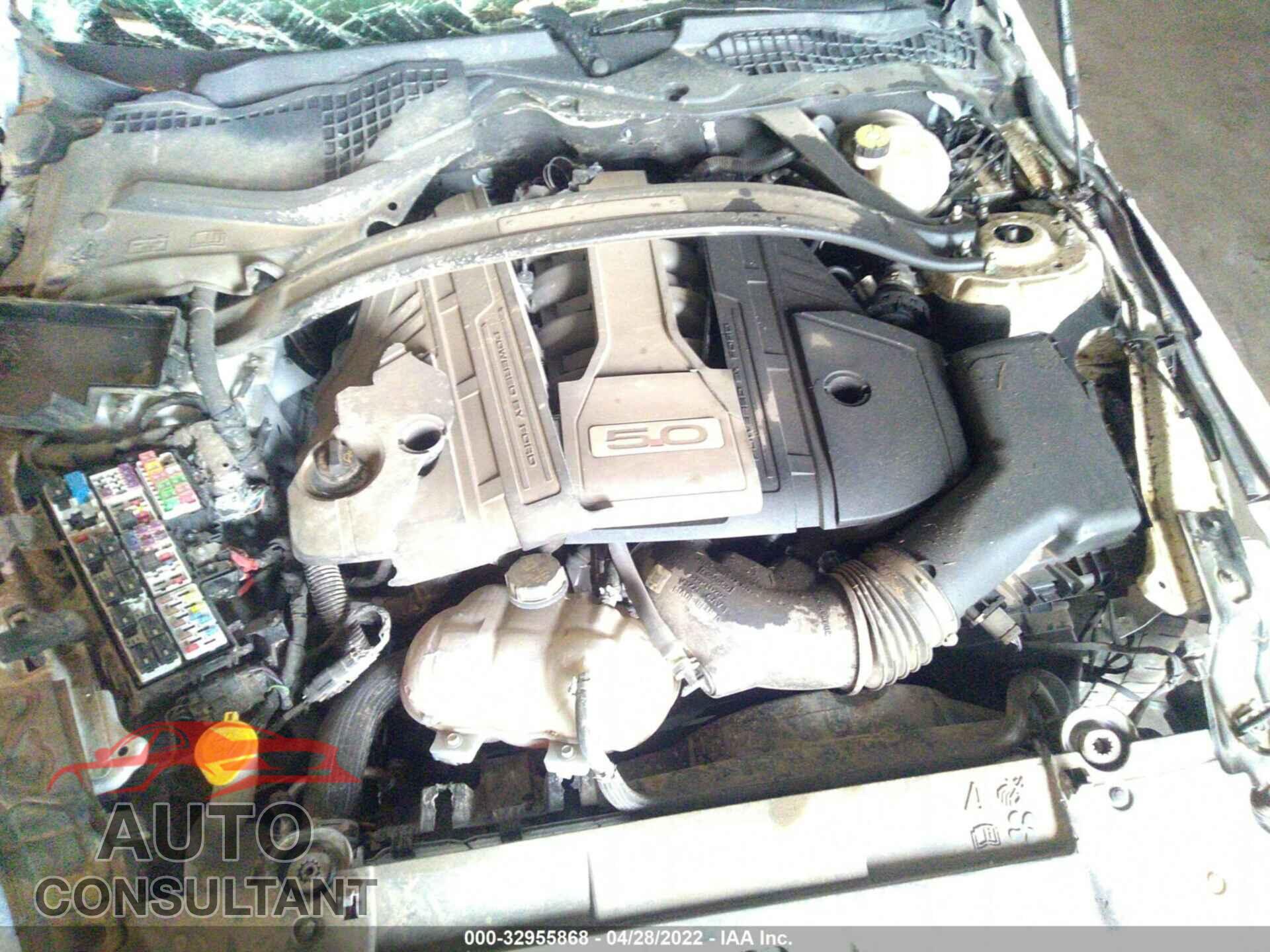 FORD MUSTANG 2019 - 1FA6P8CF5K5123647
