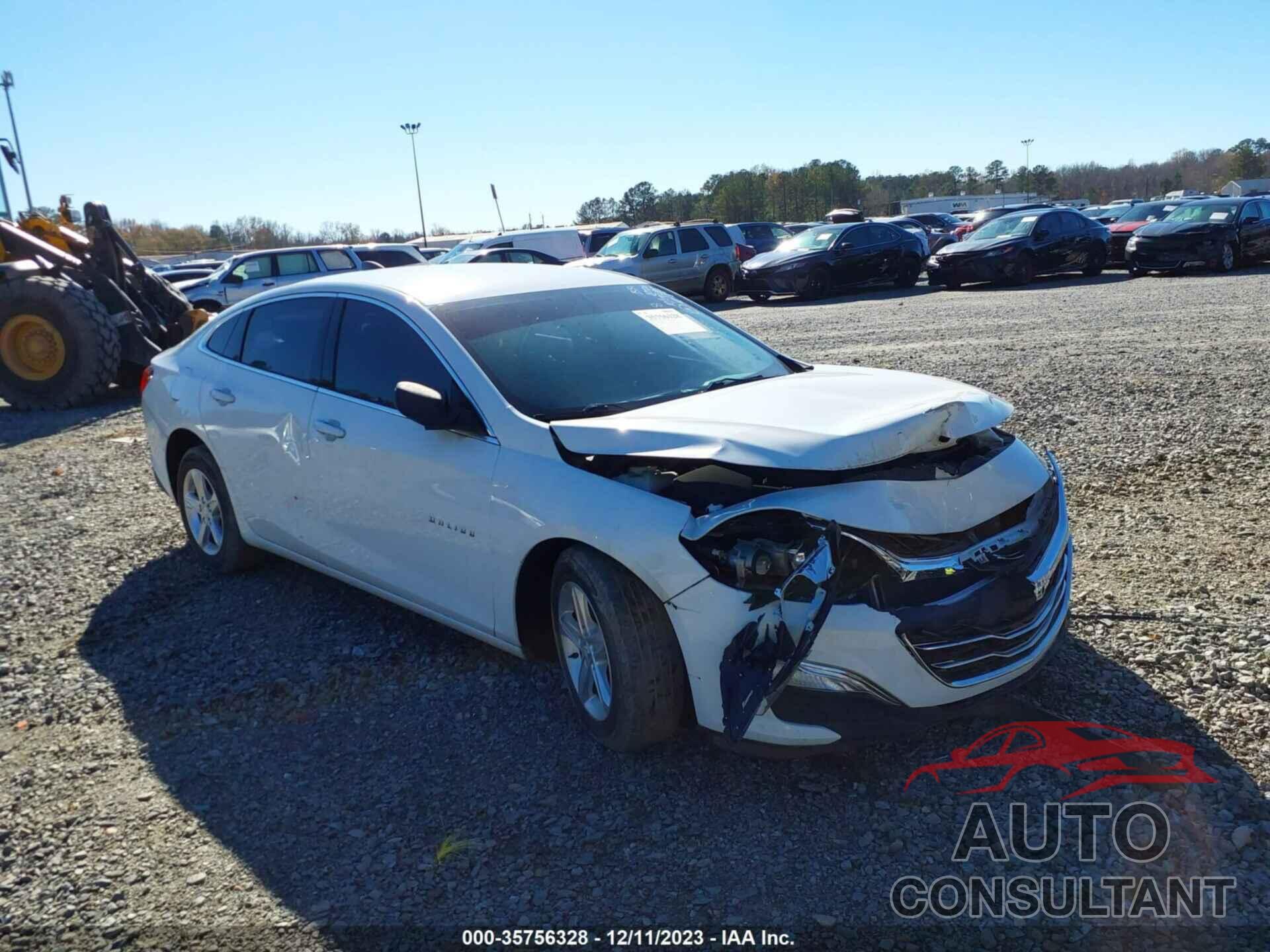 CHEVROLET MALIBU 2019 - 1G1ZB5ST7KF159158