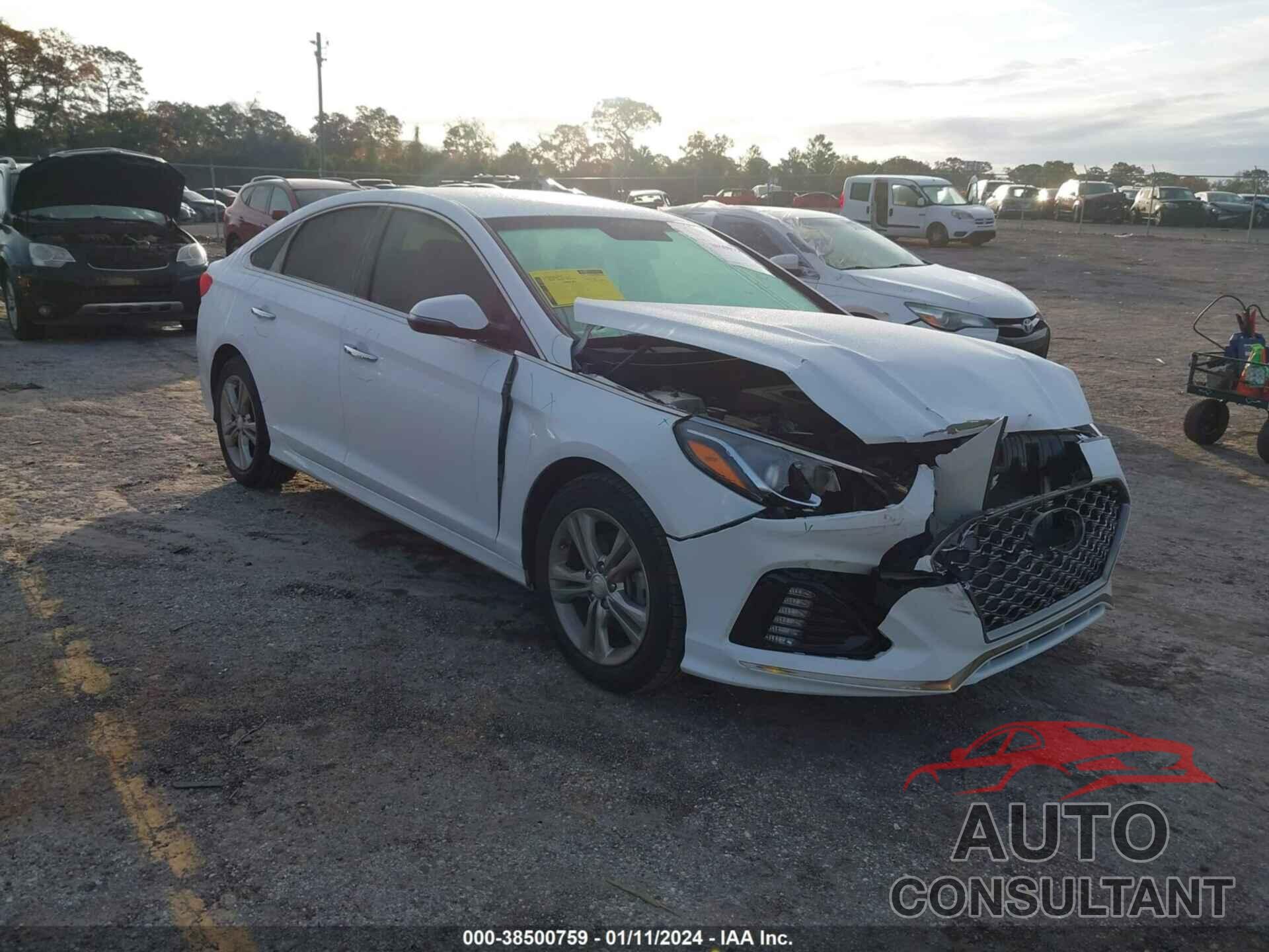 HYUNDAI SONATA 2019 - 5NPE34AF2KH730134