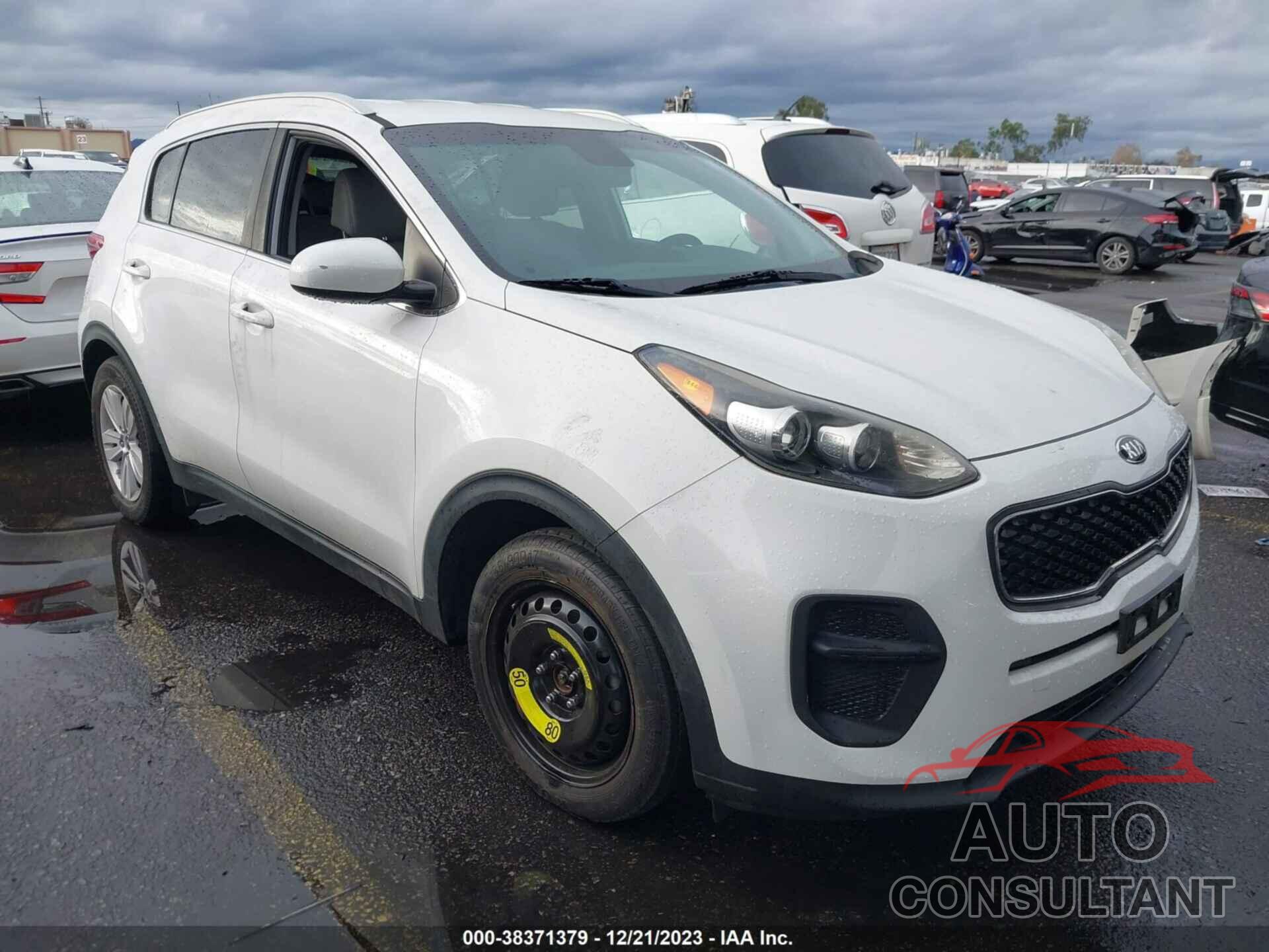 KIA SPORTAGE 2017 - KNDPM3AC5H7262404