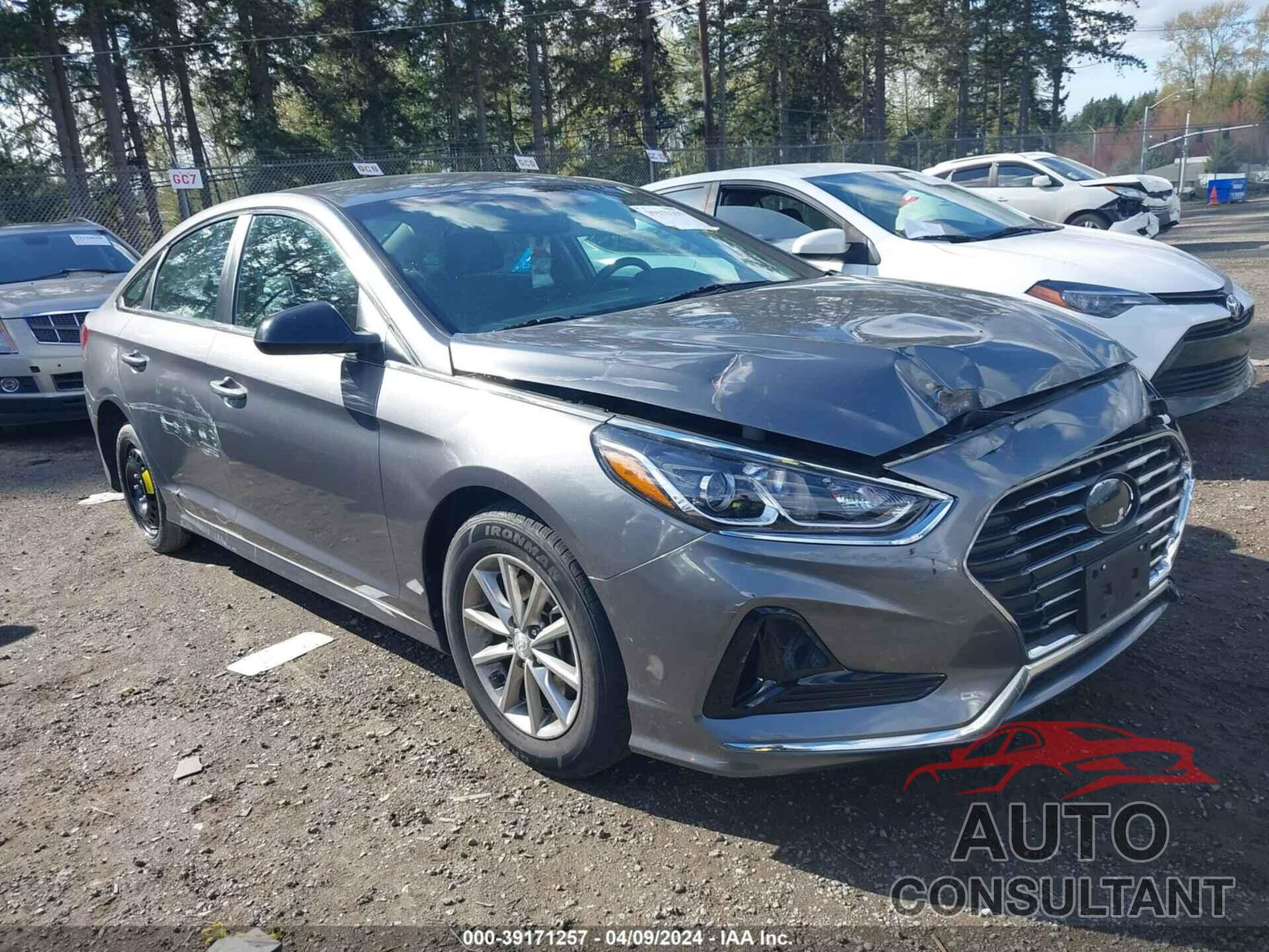 HYUNDAI SONATA 2019 - 5NPE24AF1KH792269