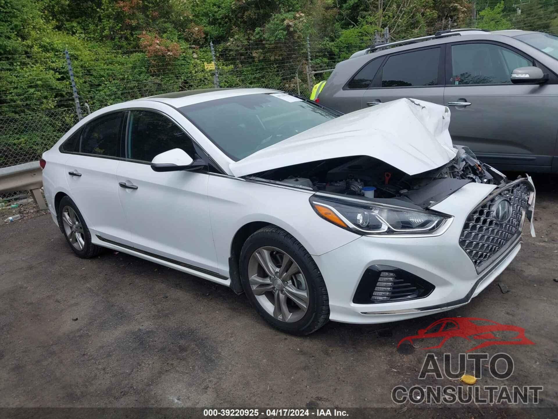 HYUNDAI SONATA 2019 - 5NPE34AF2KH731204