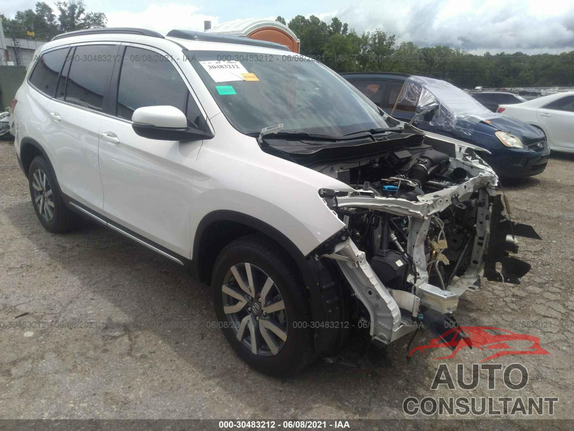 HONDA PILOT 2019 - 5FNYF6H54KB048528