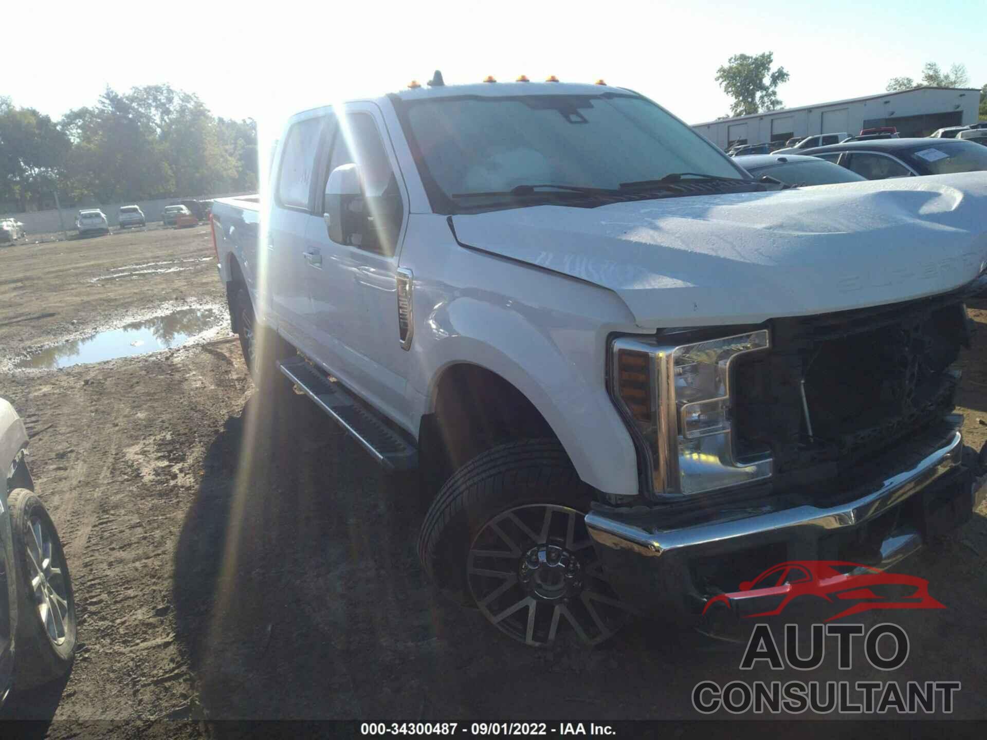 FORD SUPER DUTY F-250 SRW 2019 - 1FT7W2B68KEE51533