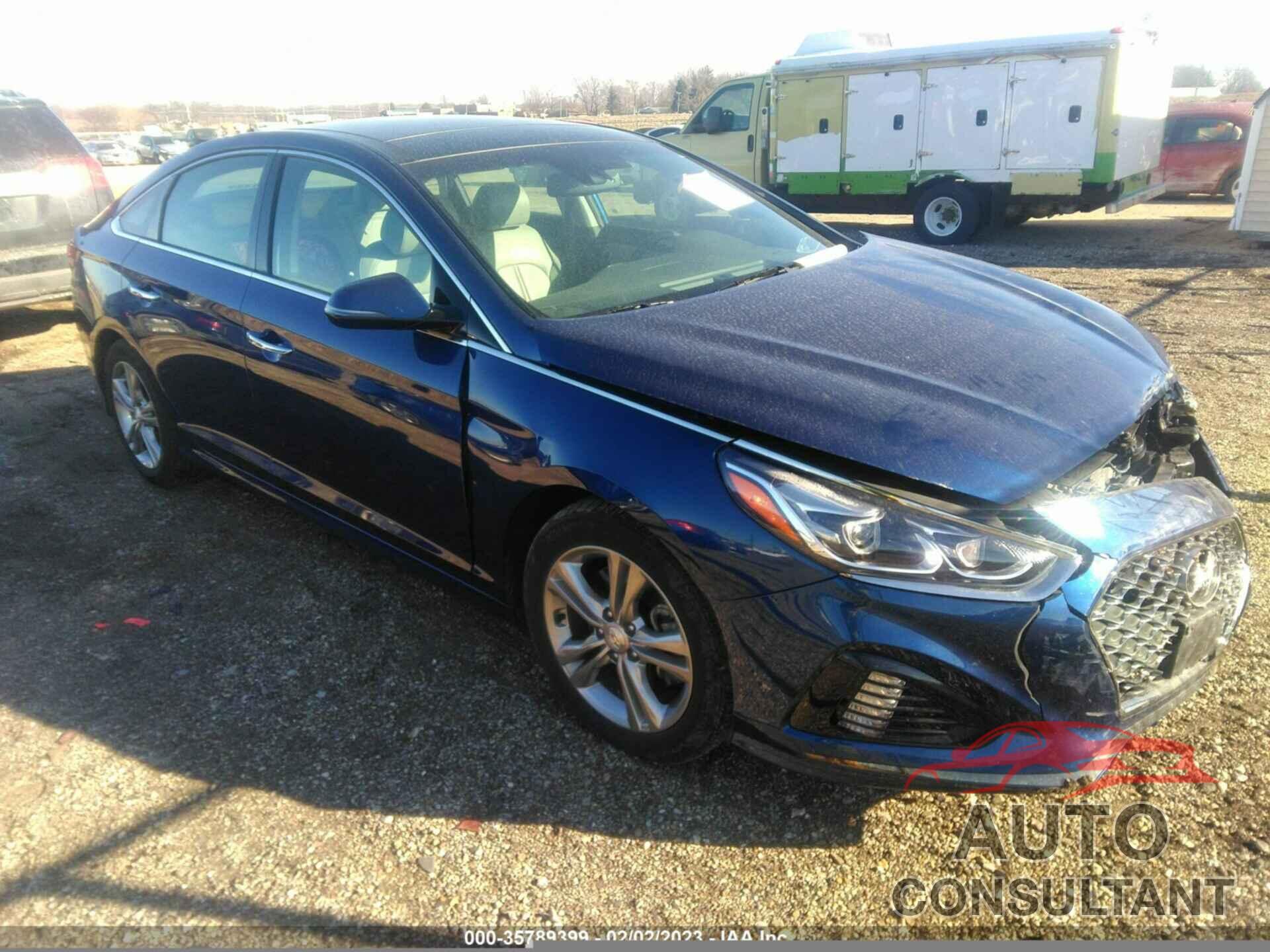 HYUNDAI SONATA 2019 - 5NPE34AF5KH819776