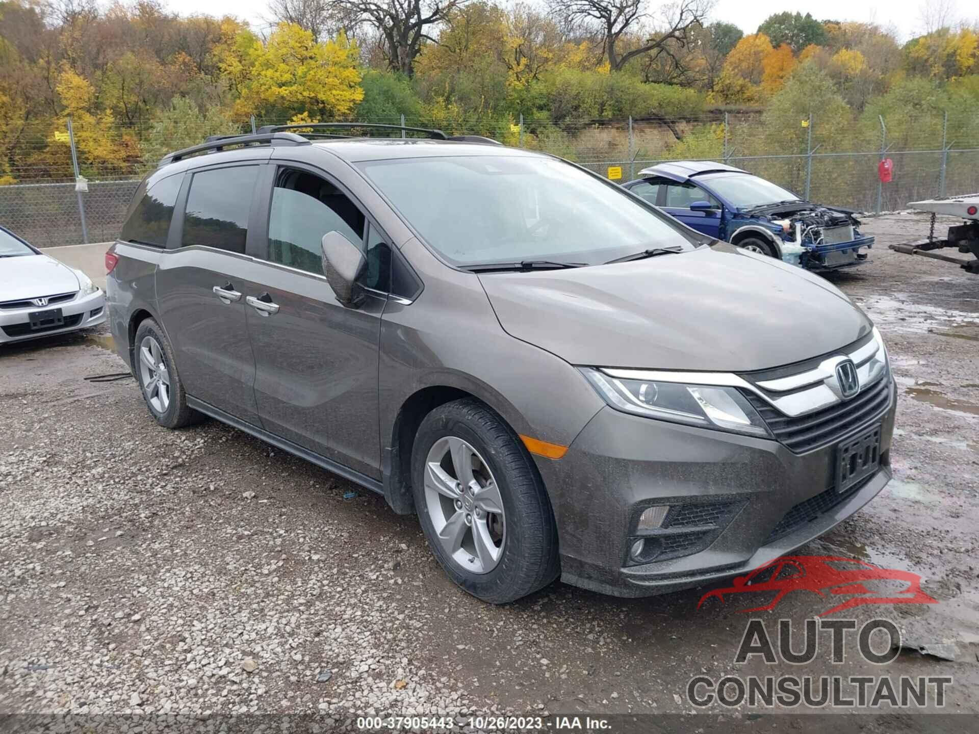 HONDA ODYSSEY 2019 - 5FNRL6H77KB004005