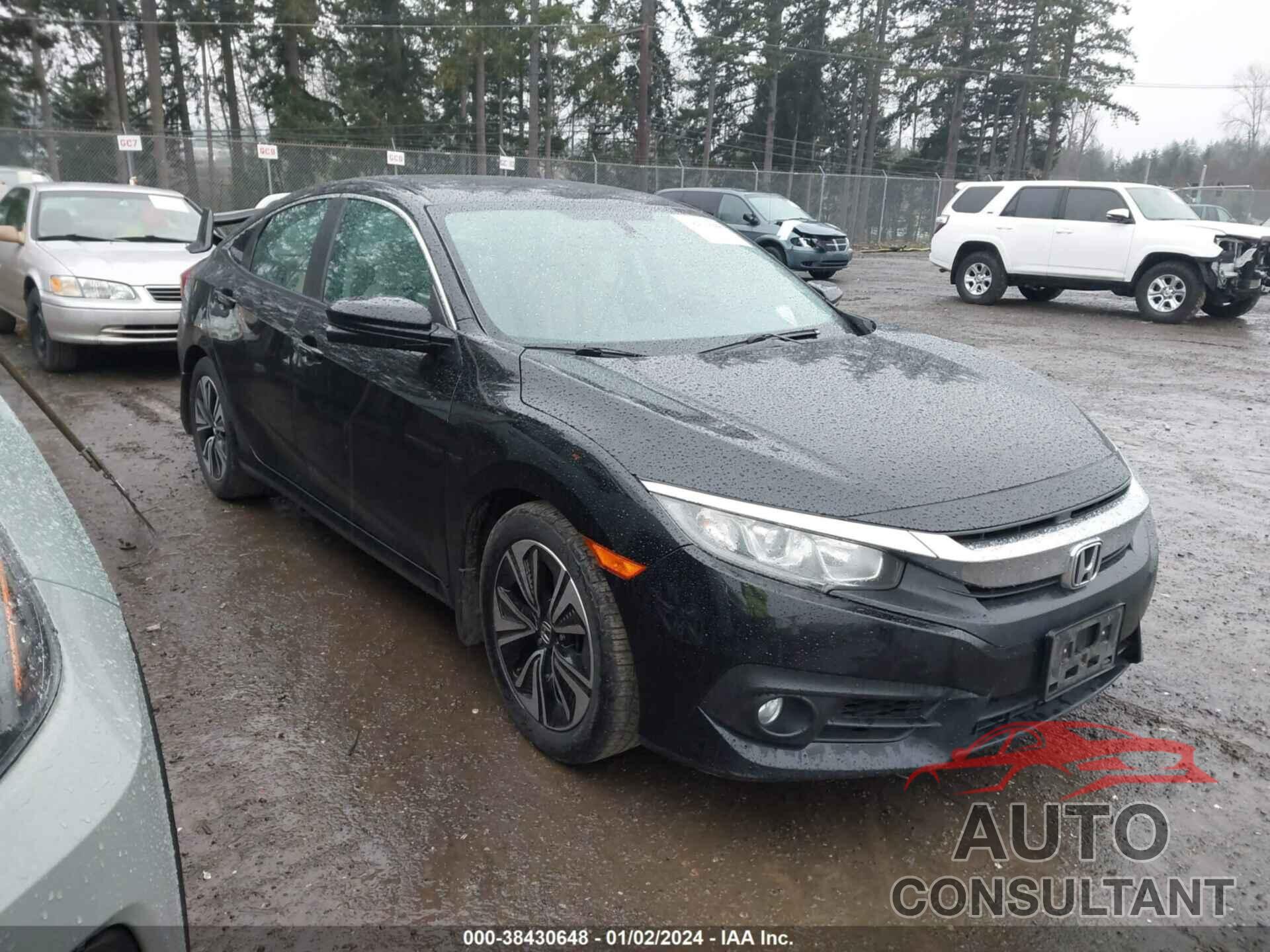 HONDA CIVIC 2016 - 2HGFC1F35GH644481