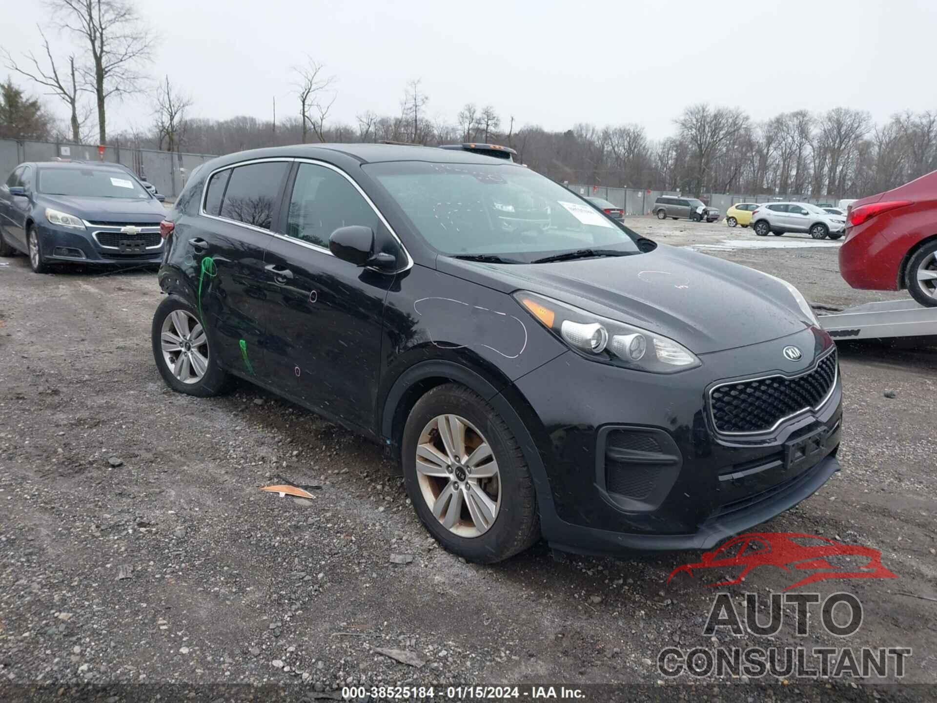 KIA SPORTAGE 2019 - KNDPM3AC8K7531891