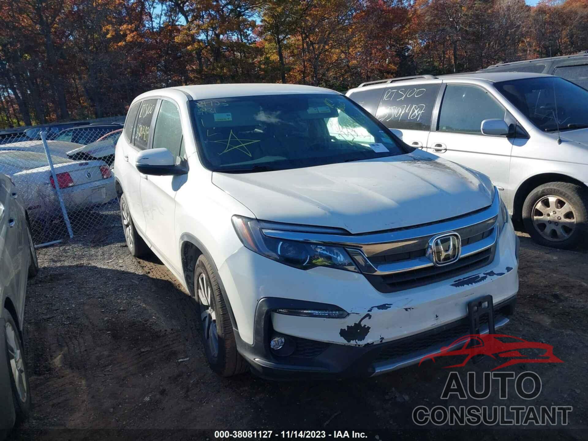 HONDA PILOT 2019 - 5FNYF6H32KB058943
