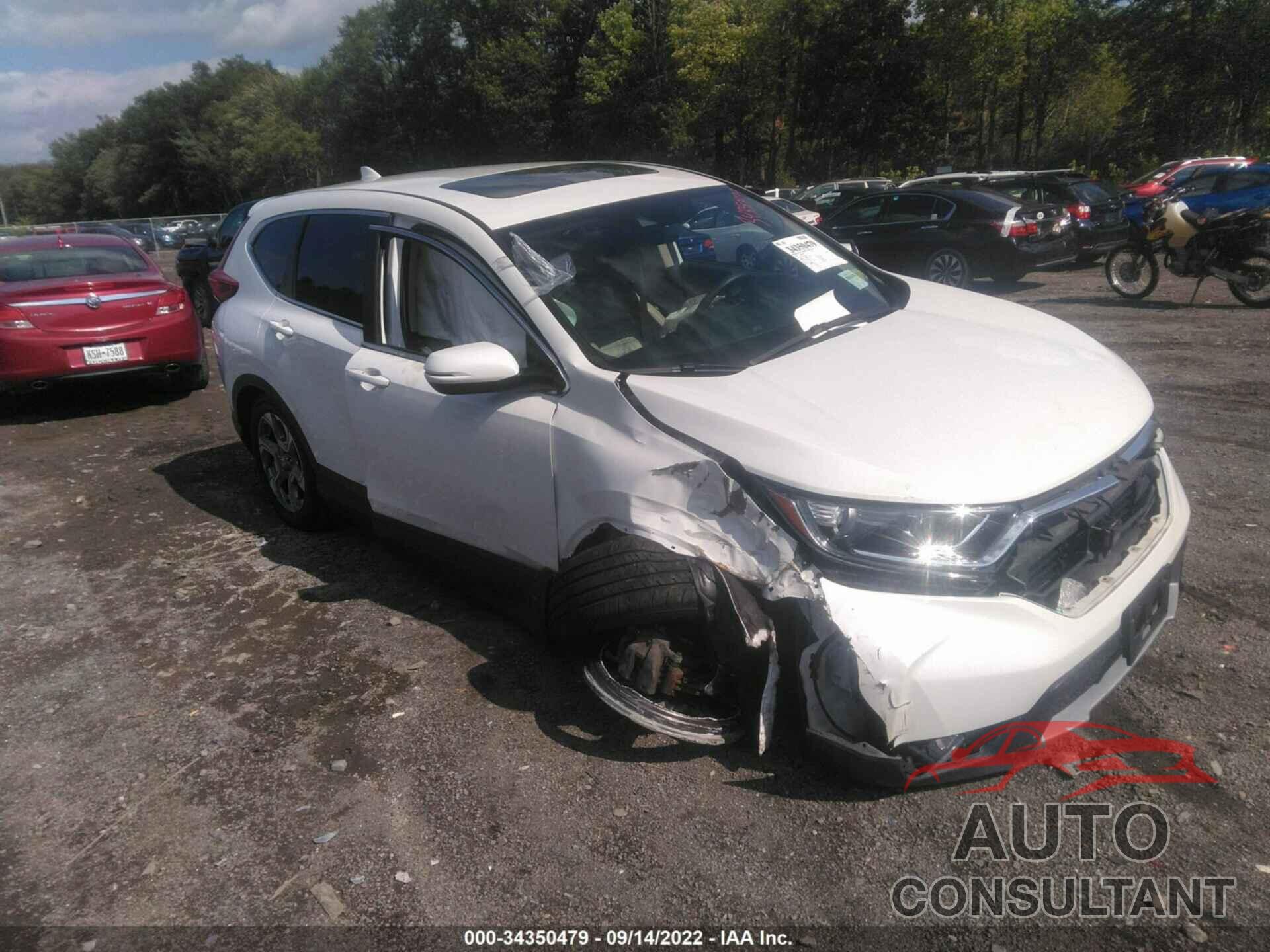 HONDA CR-V 2019 - 2HKRW2H56KH666822