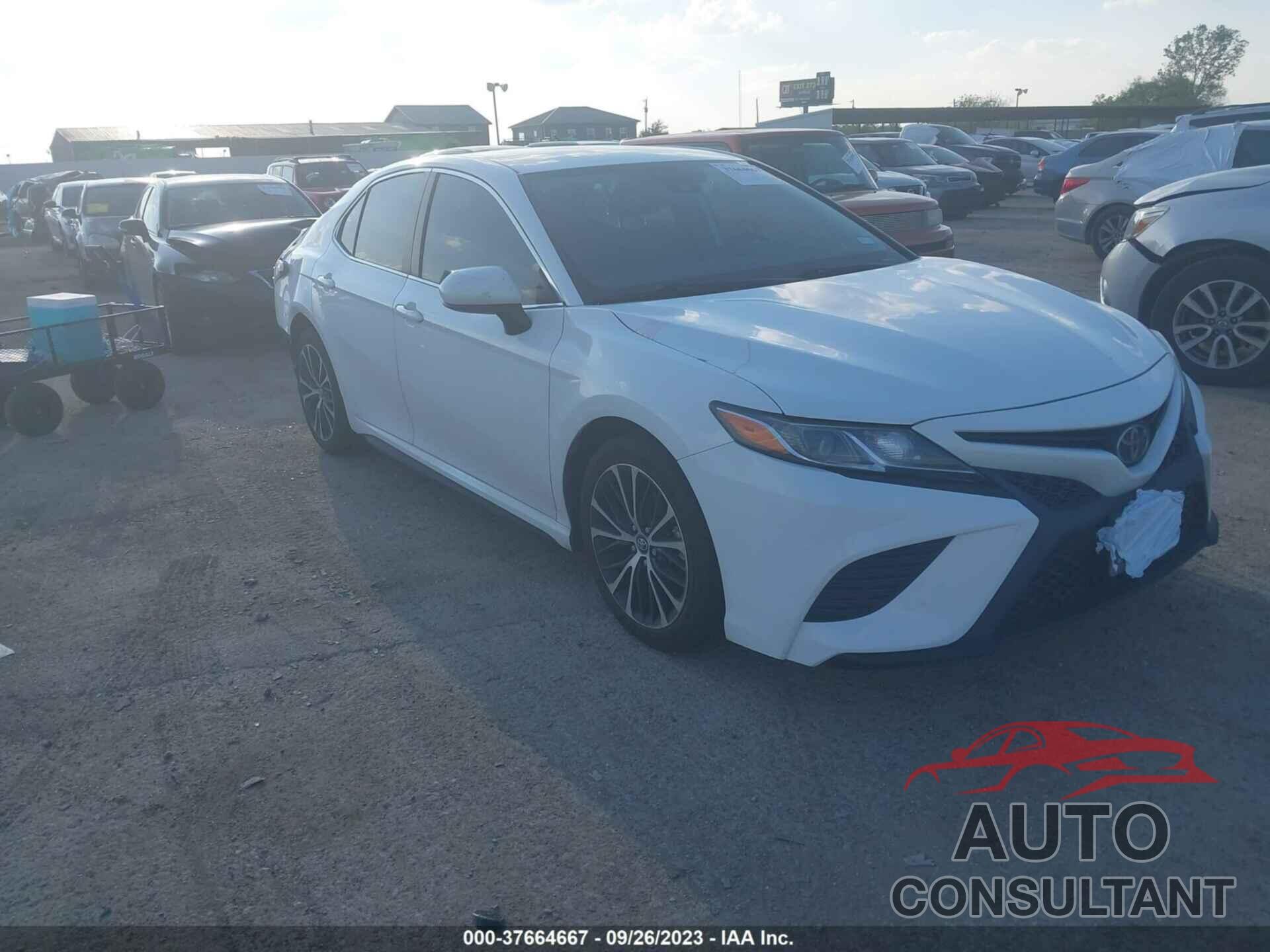 TOYOTA CAMRY 2019 - 4T1B11HK5KU831907