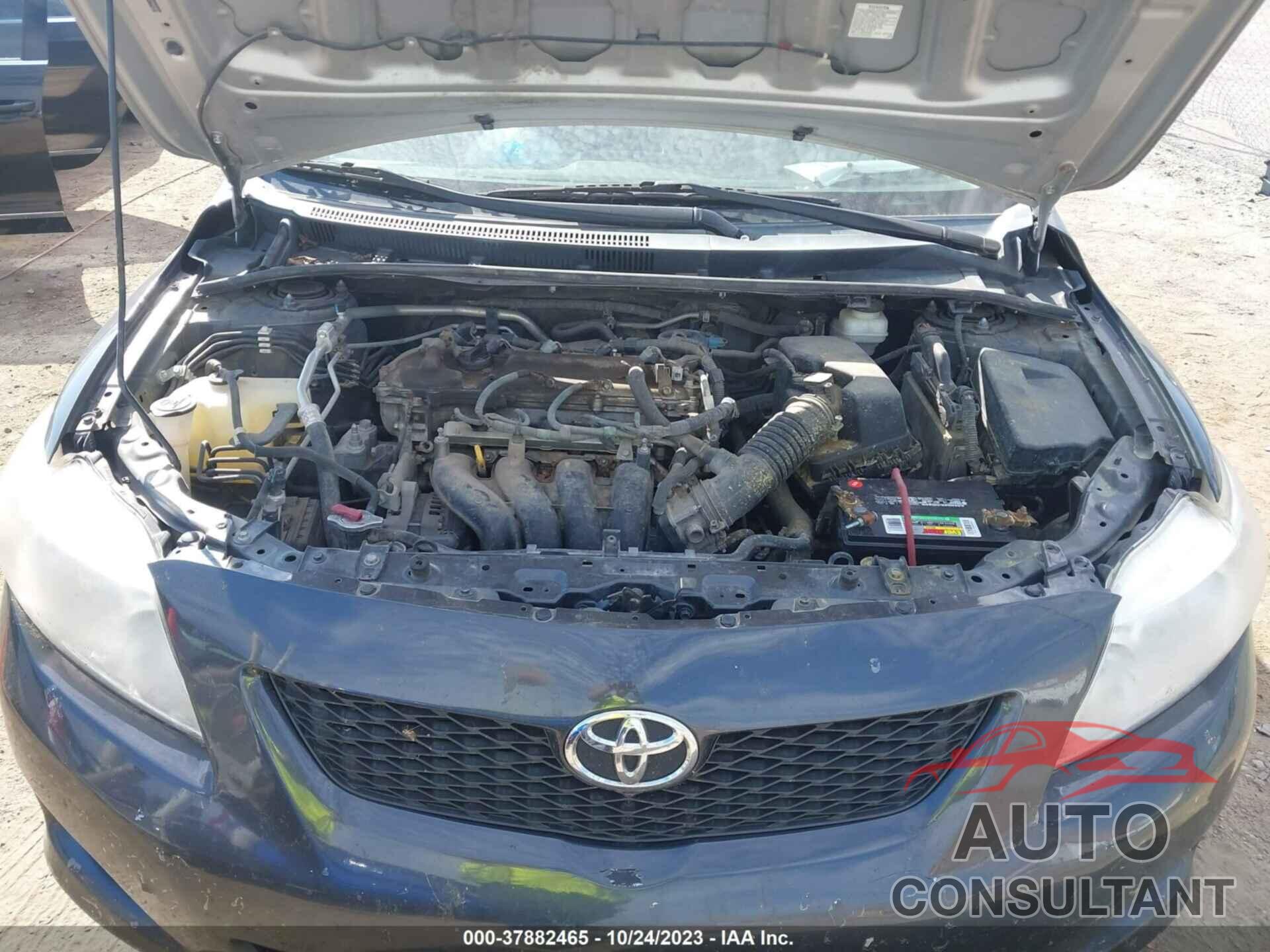 TOYOTA COROLLA 2010 - 2T1BU4EE5AC355911