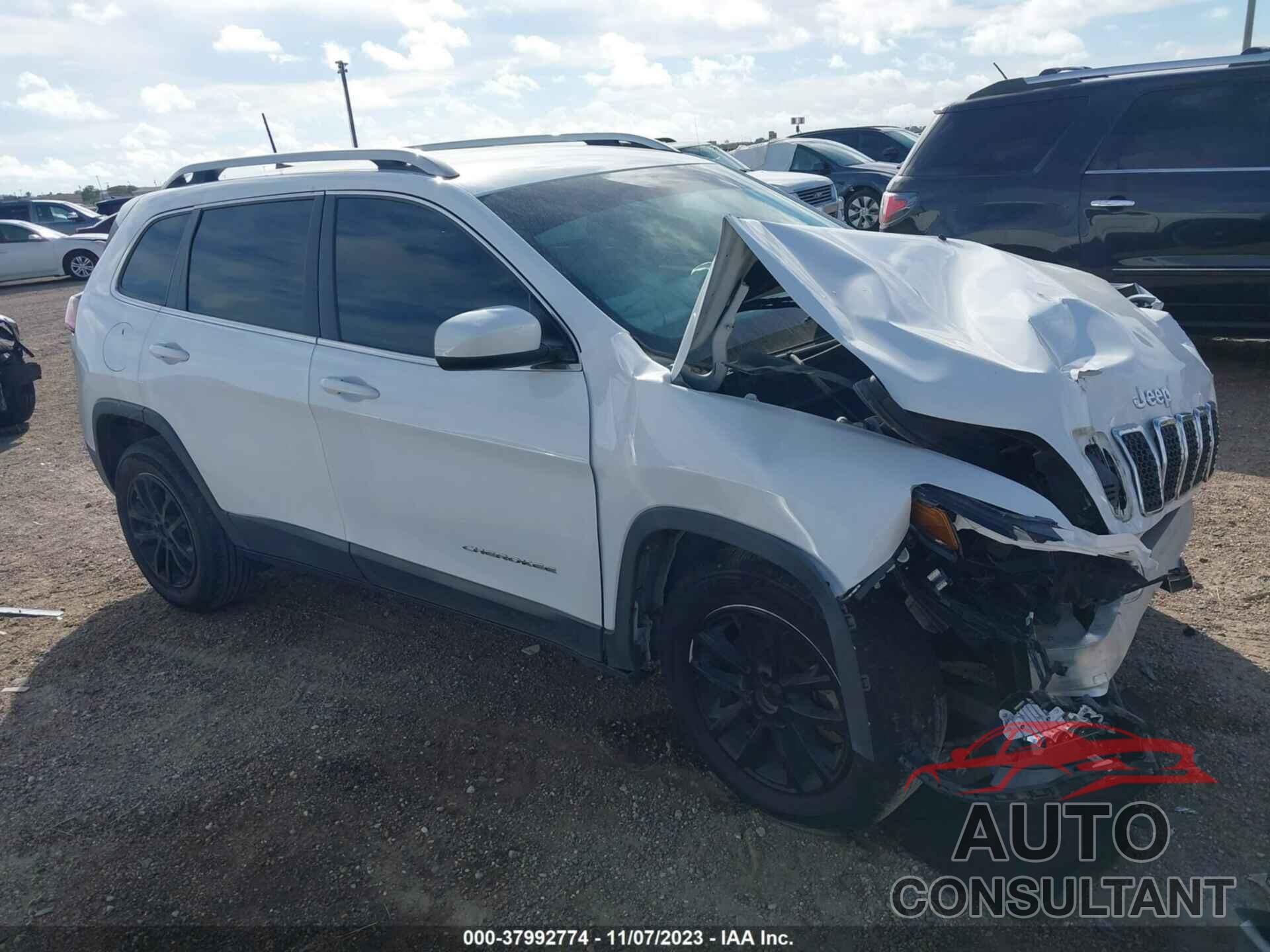 JEEP CHEROKEE 2019 - 1C4PJLCBXKD377005