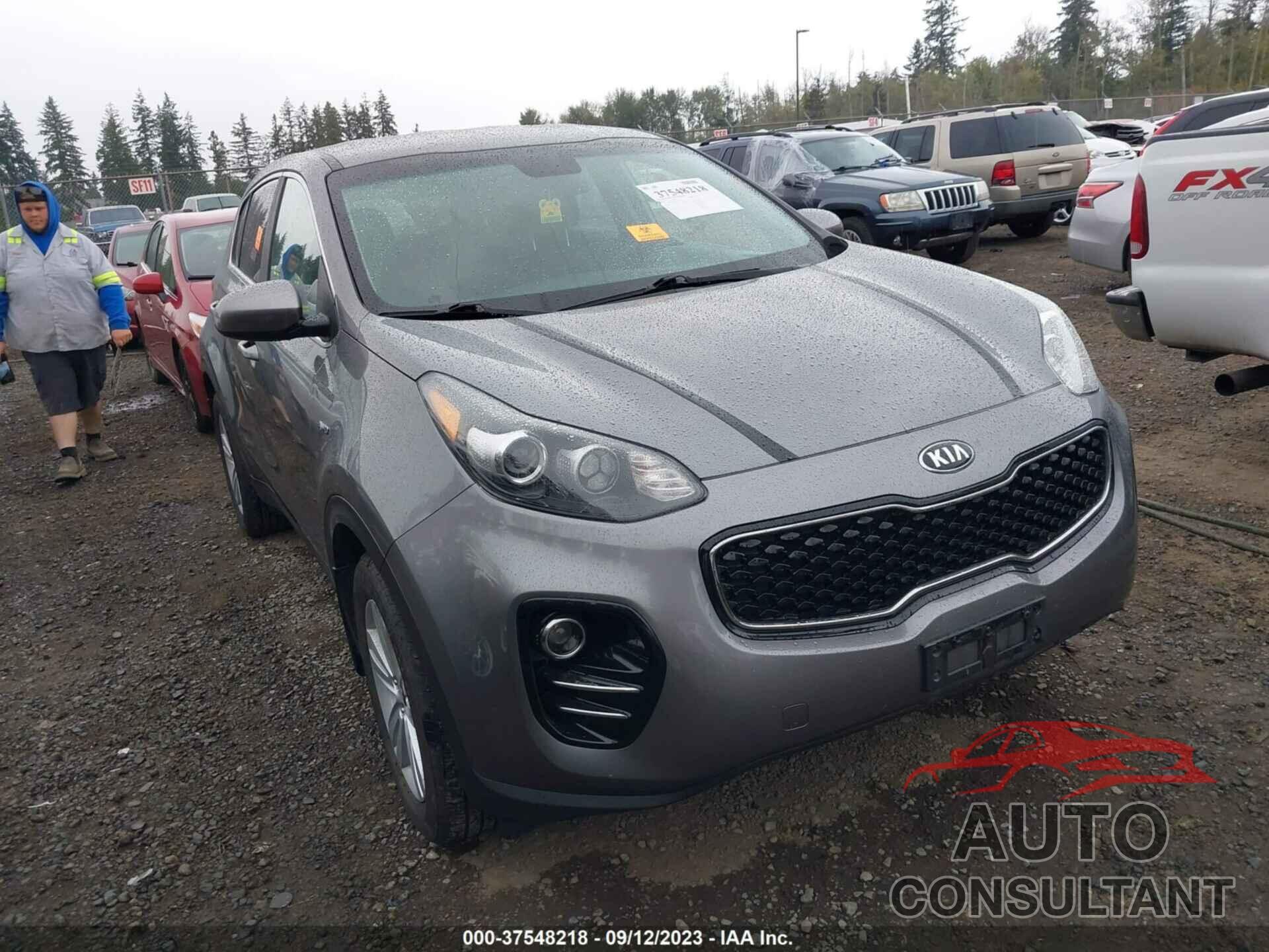 KIA SPORTAGE 2017 - KNDPMCAC3H7219275