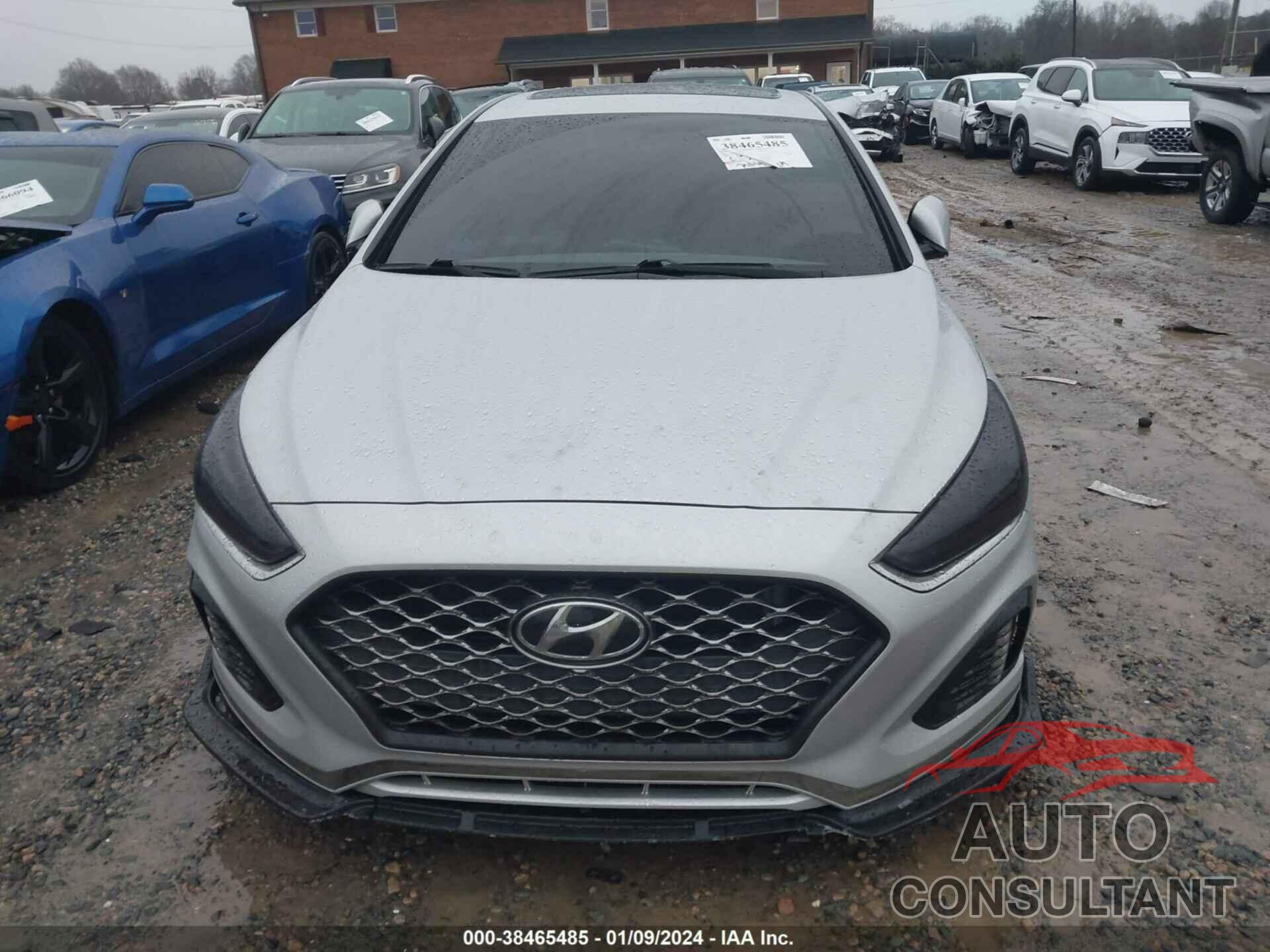 HYUNDAI SONATA 2019 - 5NPE34AFXKH804433