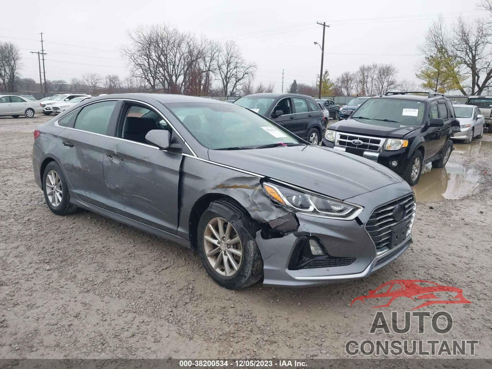 HYUNDAI SONATA 2019 - 5NPE24AF2KH742254