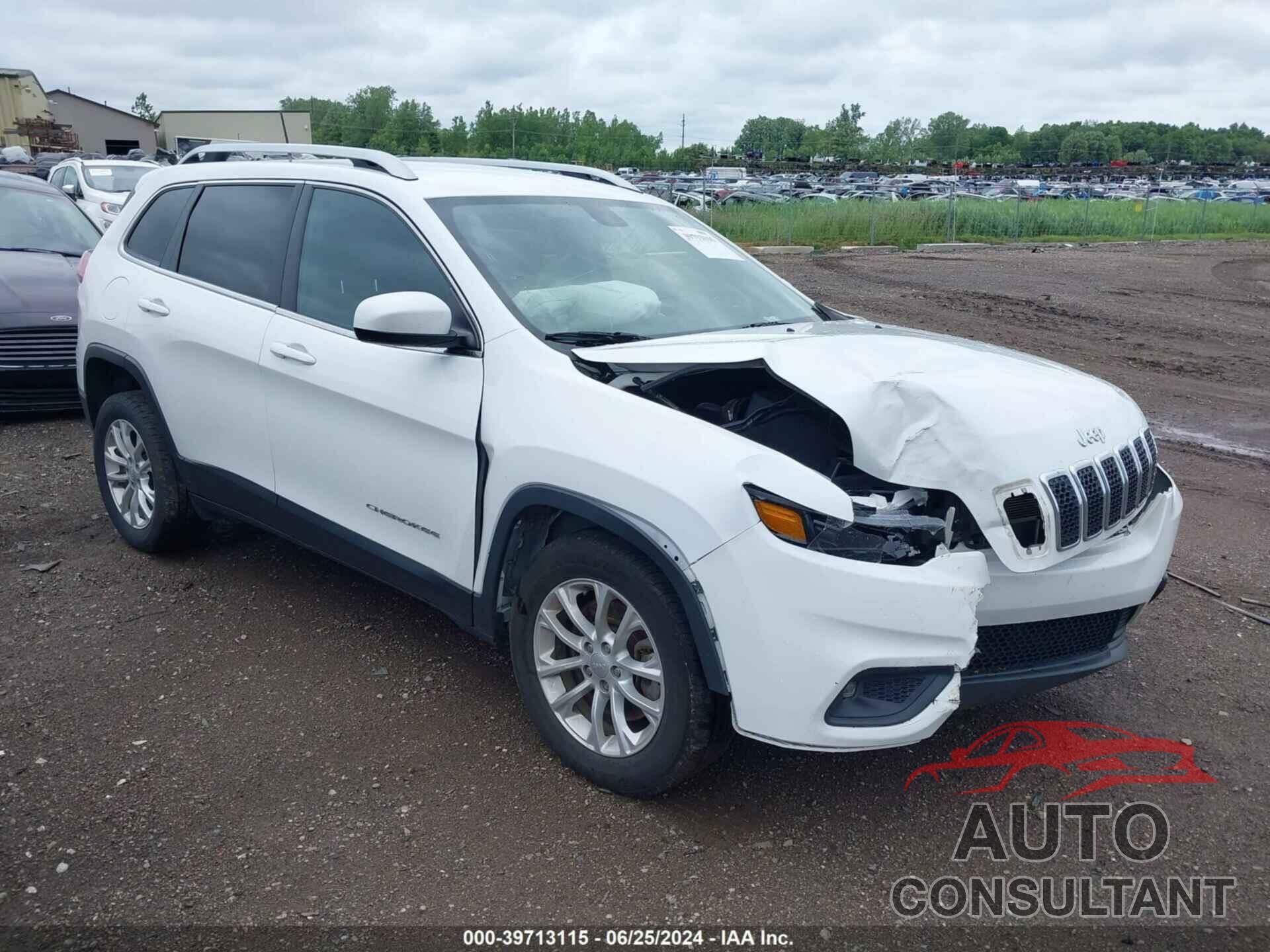 JEEP CHEROKEE 2019 - 1C4PJLCB6KD474511