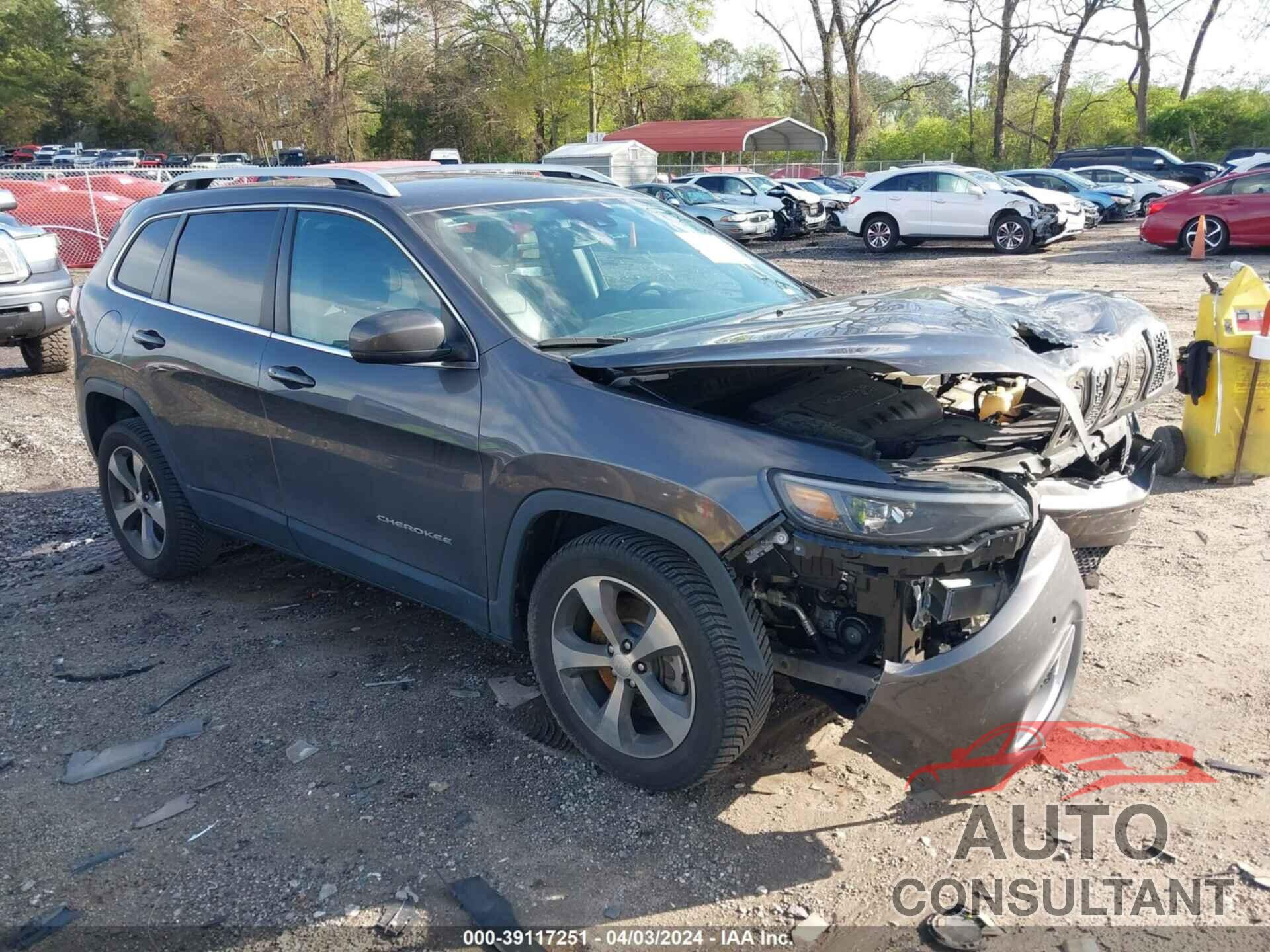 JEEP CHEROKEE 2019 - 1C4PJLDB5KD143952