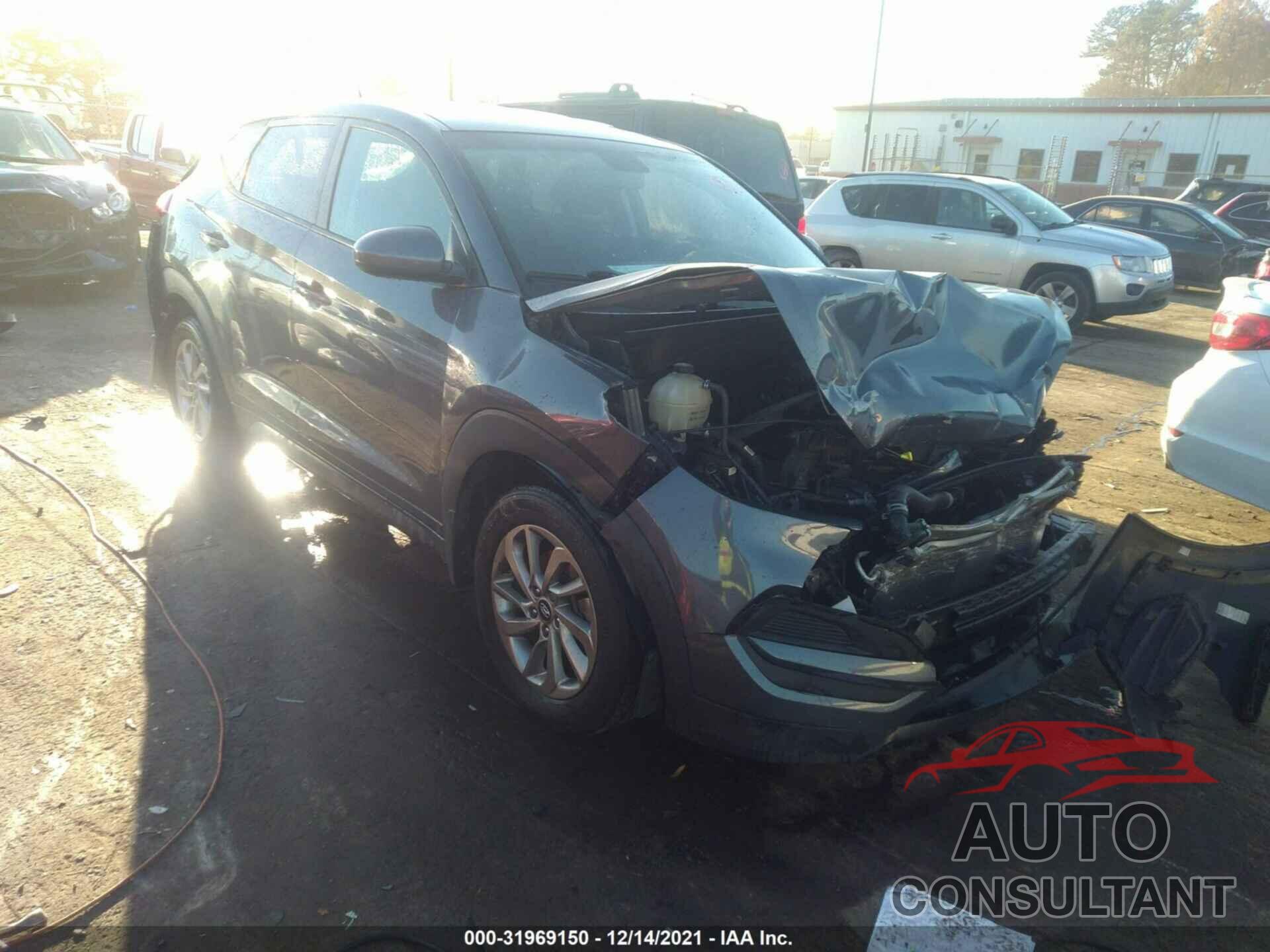 HYUNDAI TUCSON 2016 - KM8J23A42GU042590