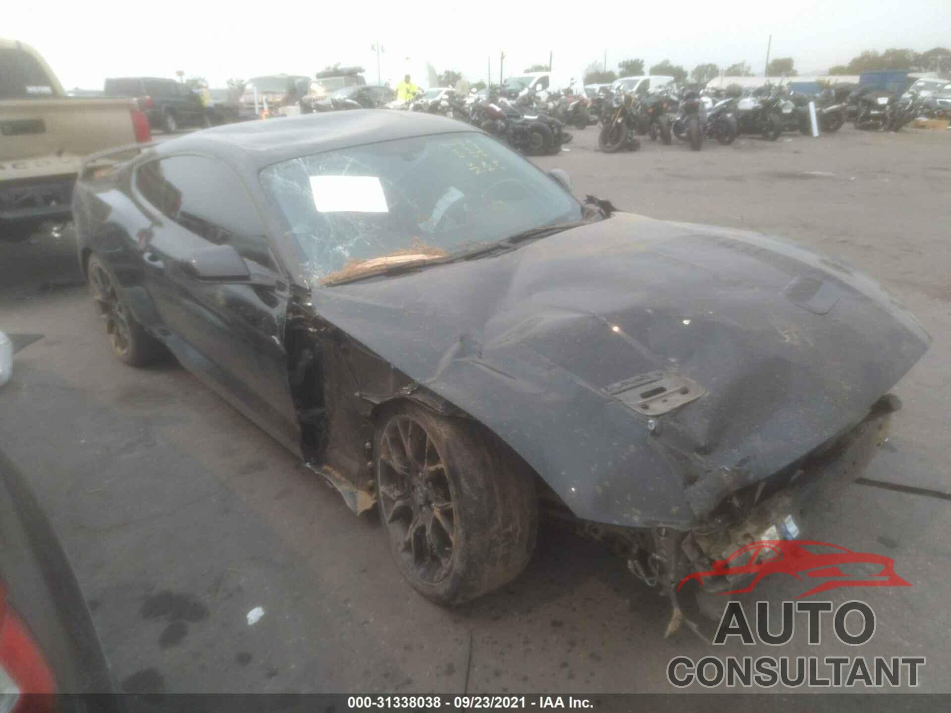 FORD MUSTANG 2019 - 1FA6P8TH0K5169288