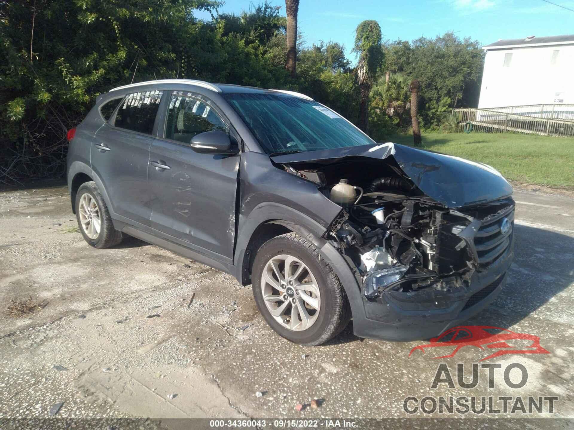 HYUNDAI TUCSON 2016 - KM8J33A27GU126321