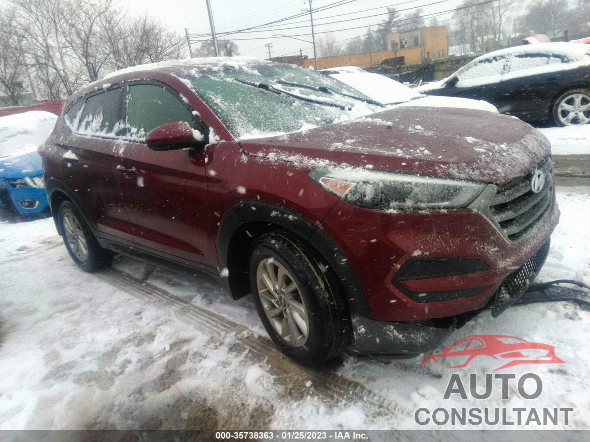 HYUNDAI TUCSON 2016 - KM8J23A48GU126851