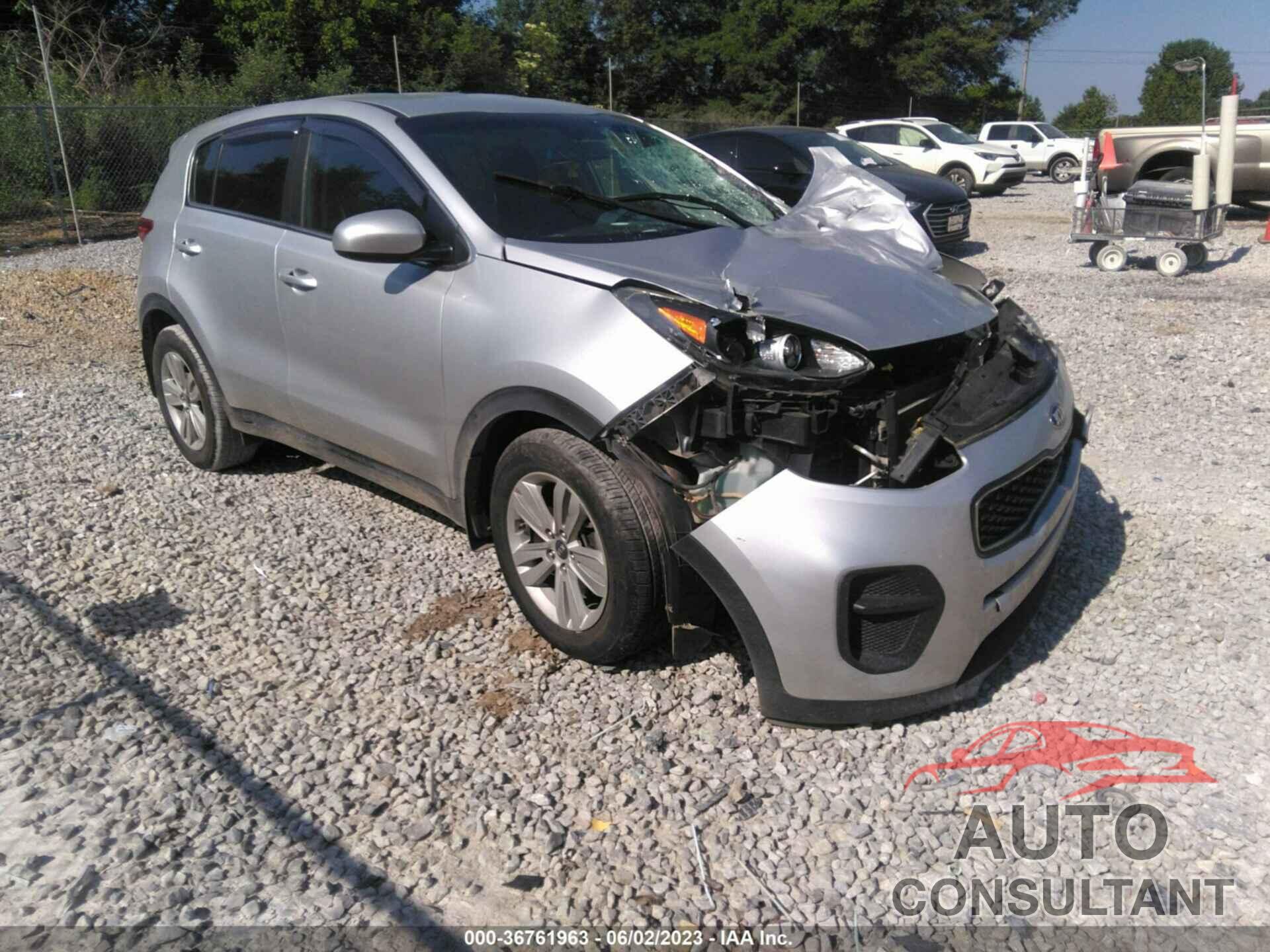 KIA SPORTAGE 2017 - KNDPM3AC1H7083955
