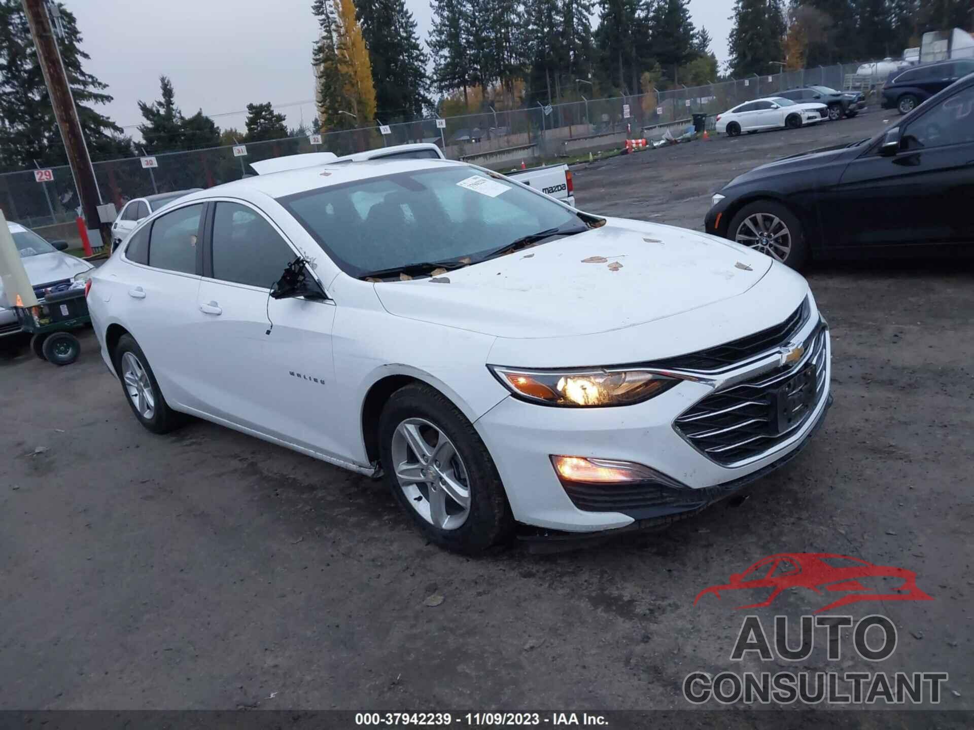 CHEVROLET MALIBU 2020 - 1G1ZB5ST0LF154448