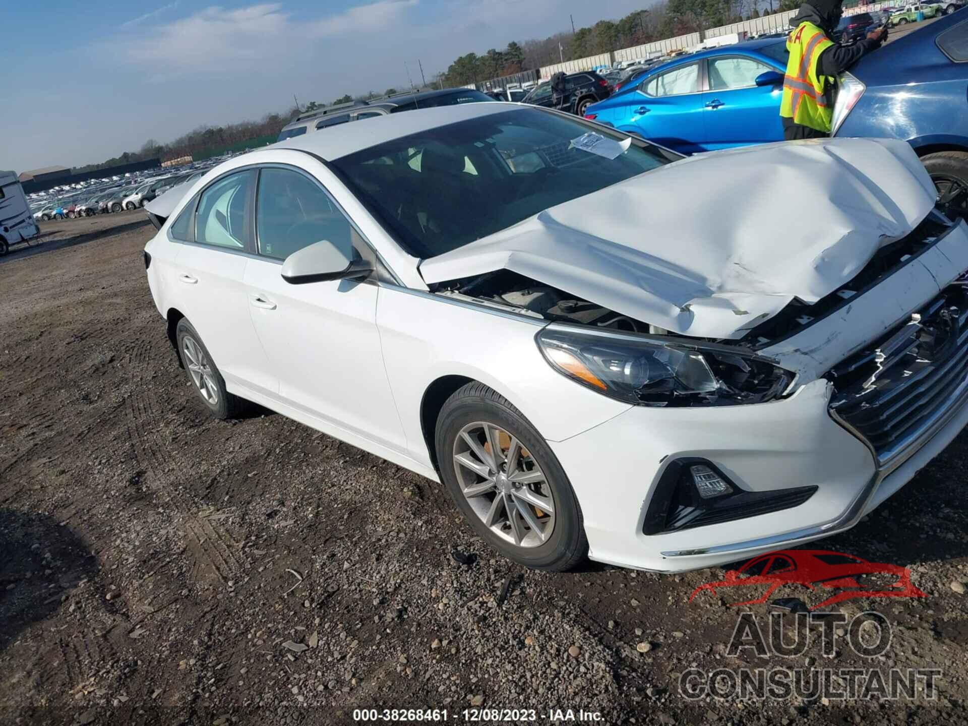 HYUNDAI SONATA 2019 - 5NPE24AF6KH750406