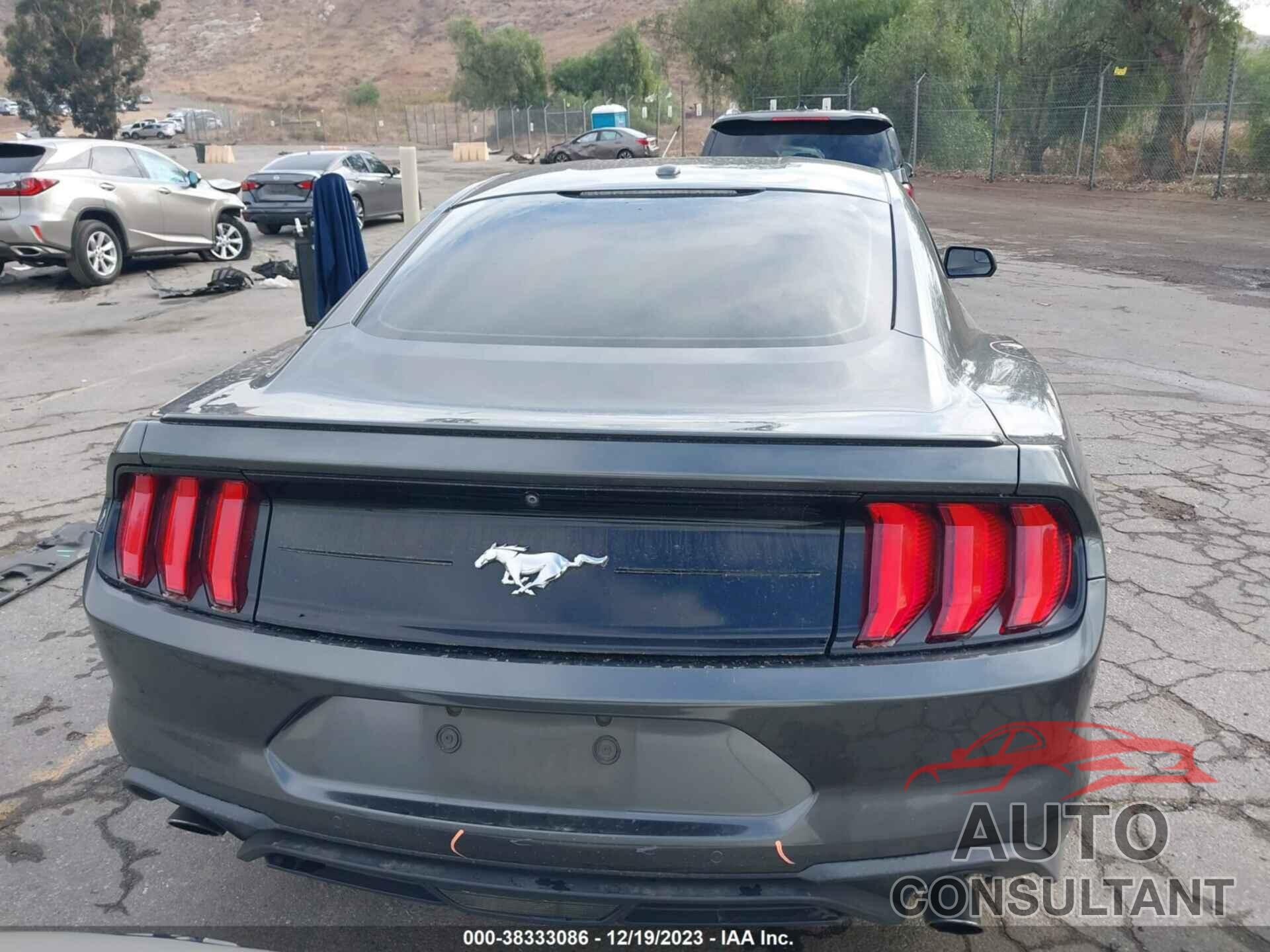 FORD MUSTANG 2019 - 1FA6P8TH1K5175519