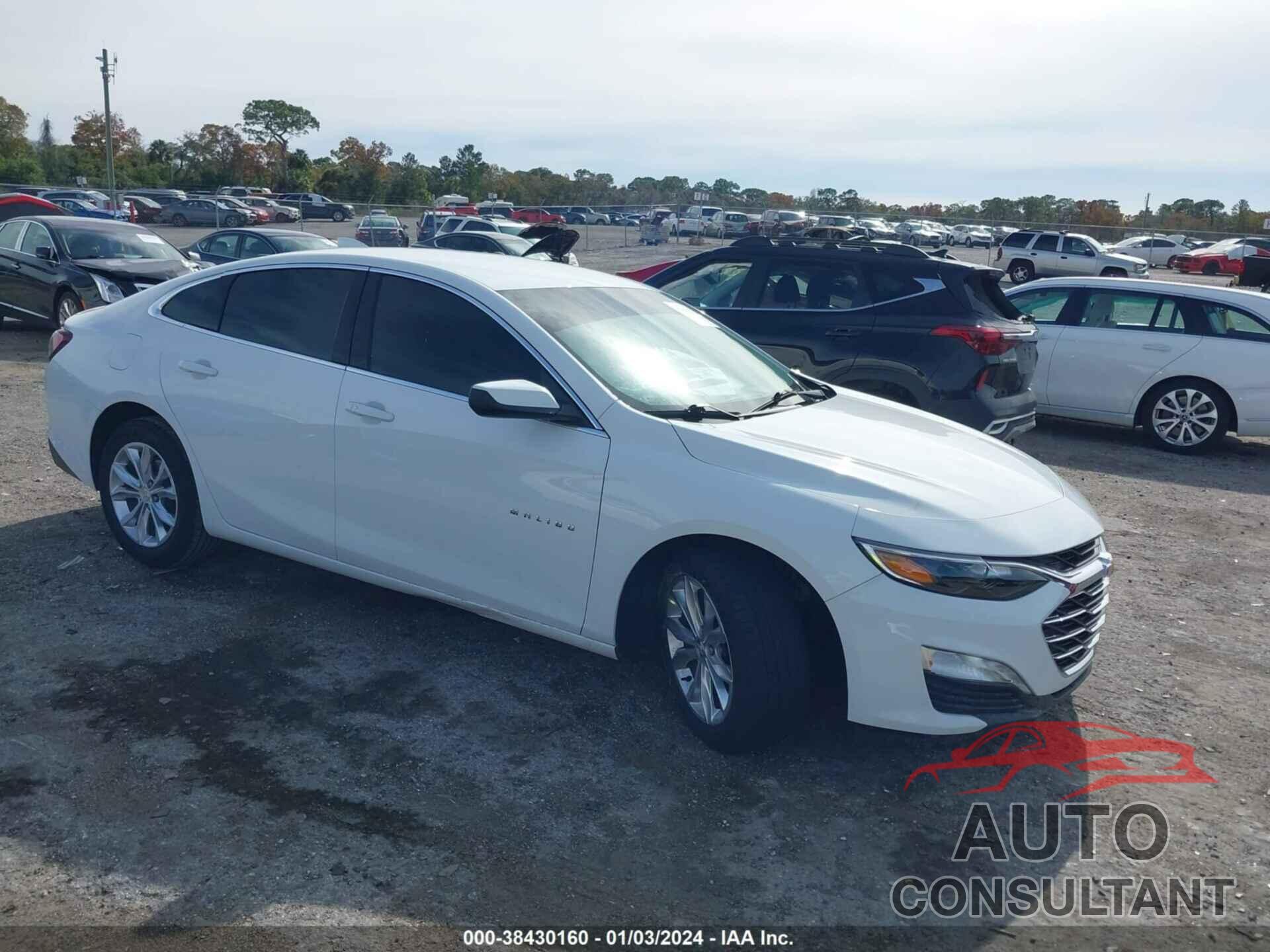 CHEVROLET MALIBU 2019 - 1G1ZD5ST5KF211462