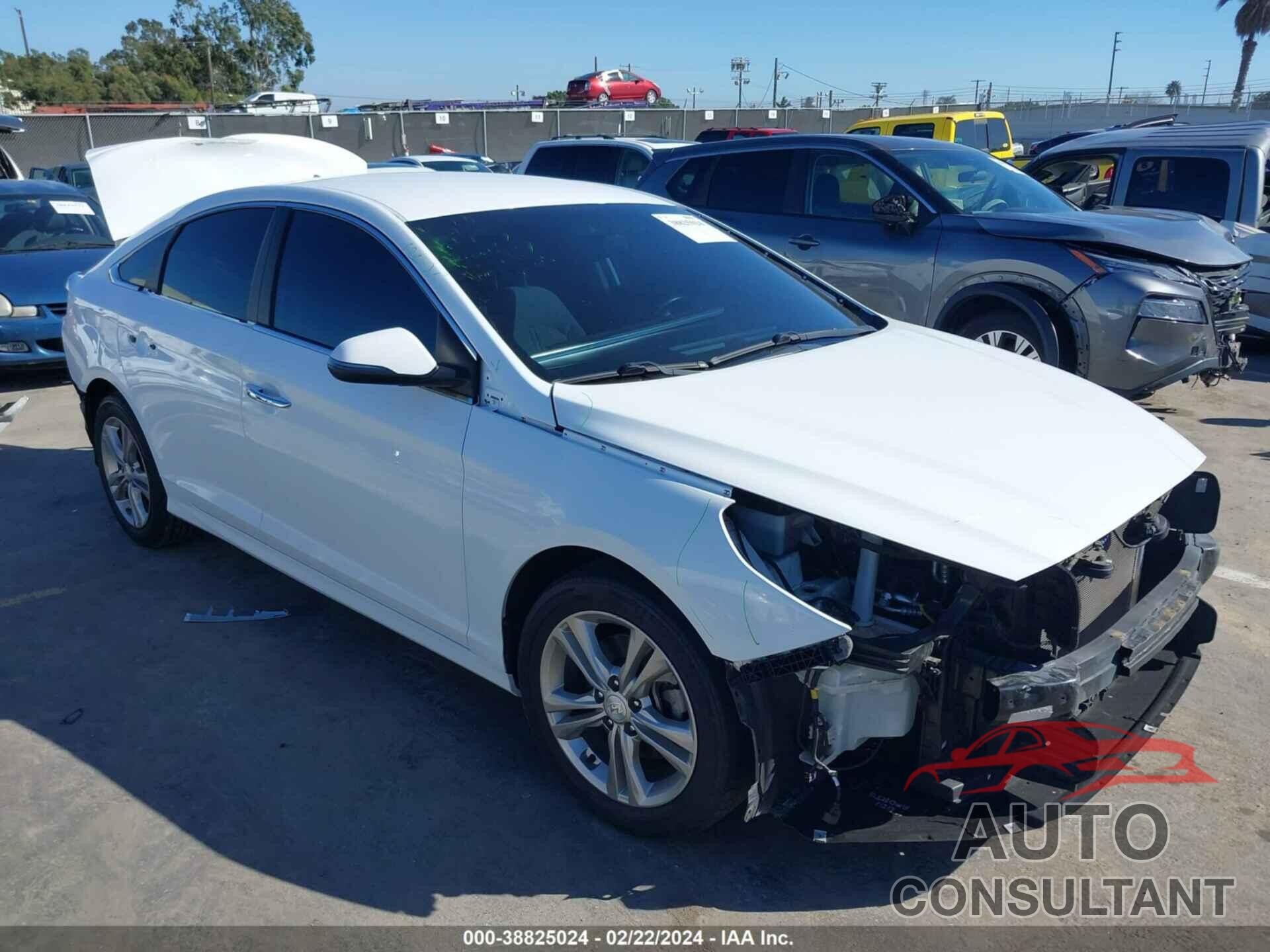 HYUNDAI SONATA 2019 - 5NPE34AFXKH766315