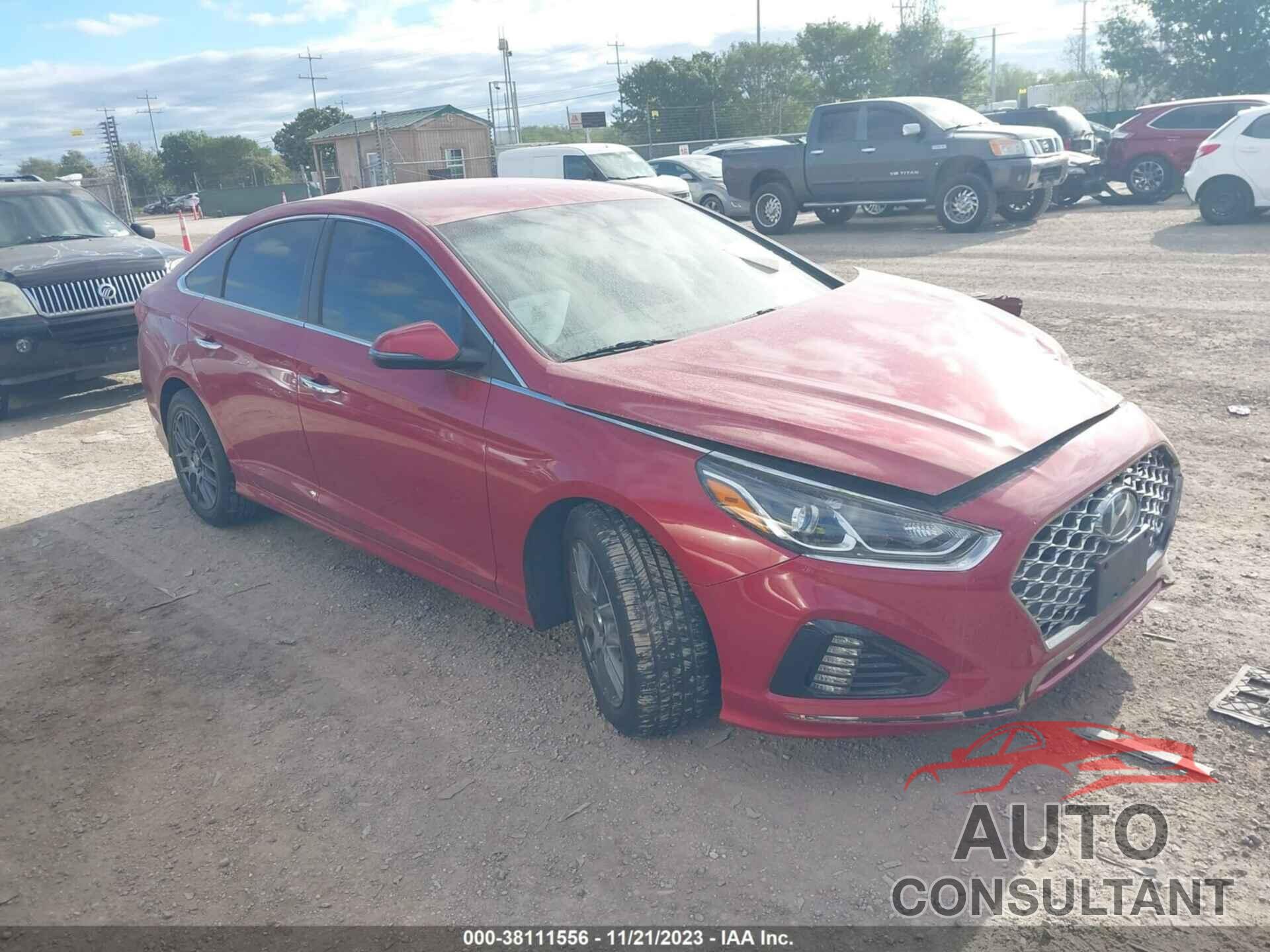 HYUNDAI SONATA 2019 - 5NPE34AF0KH816316