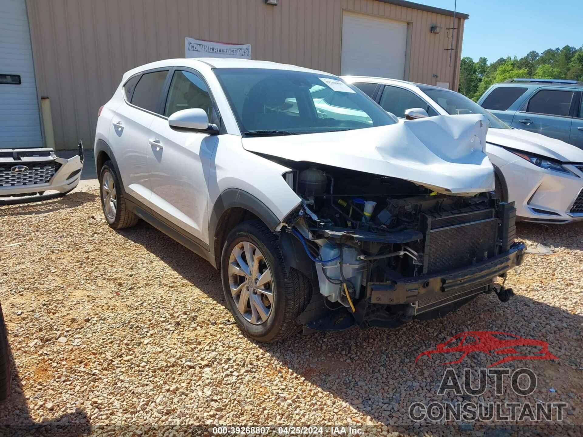 HYUNDAI TUCSON 2019 - KM8J23A45KU923552