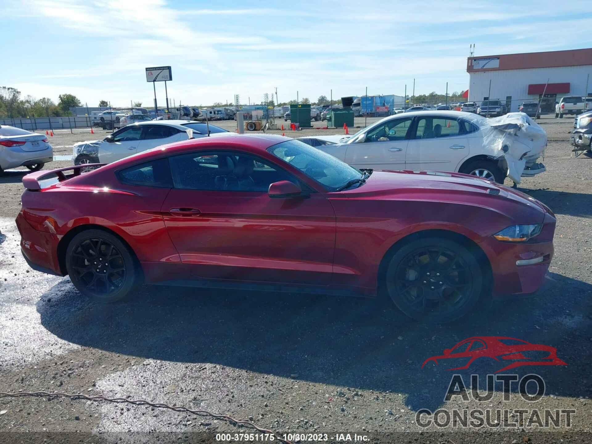 FORD MUSTANG 2019 - 1FA6P8TH4K5129439